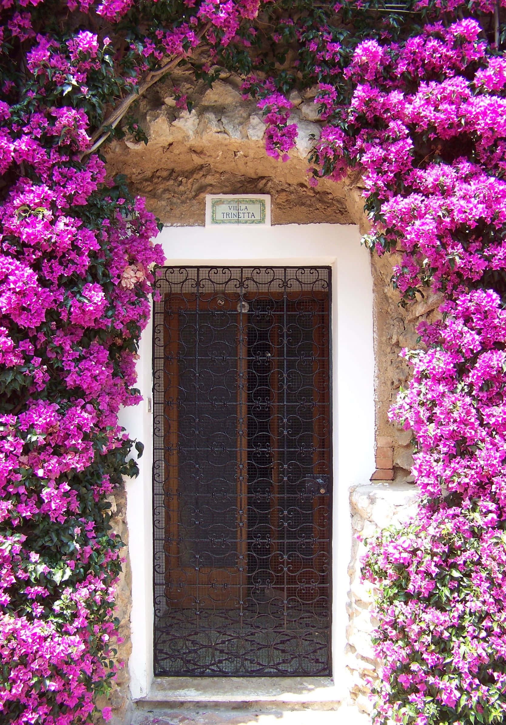 magenta bougainvillea, rustic stone arch, wrought iron door, Full HD Phone Wallpaper