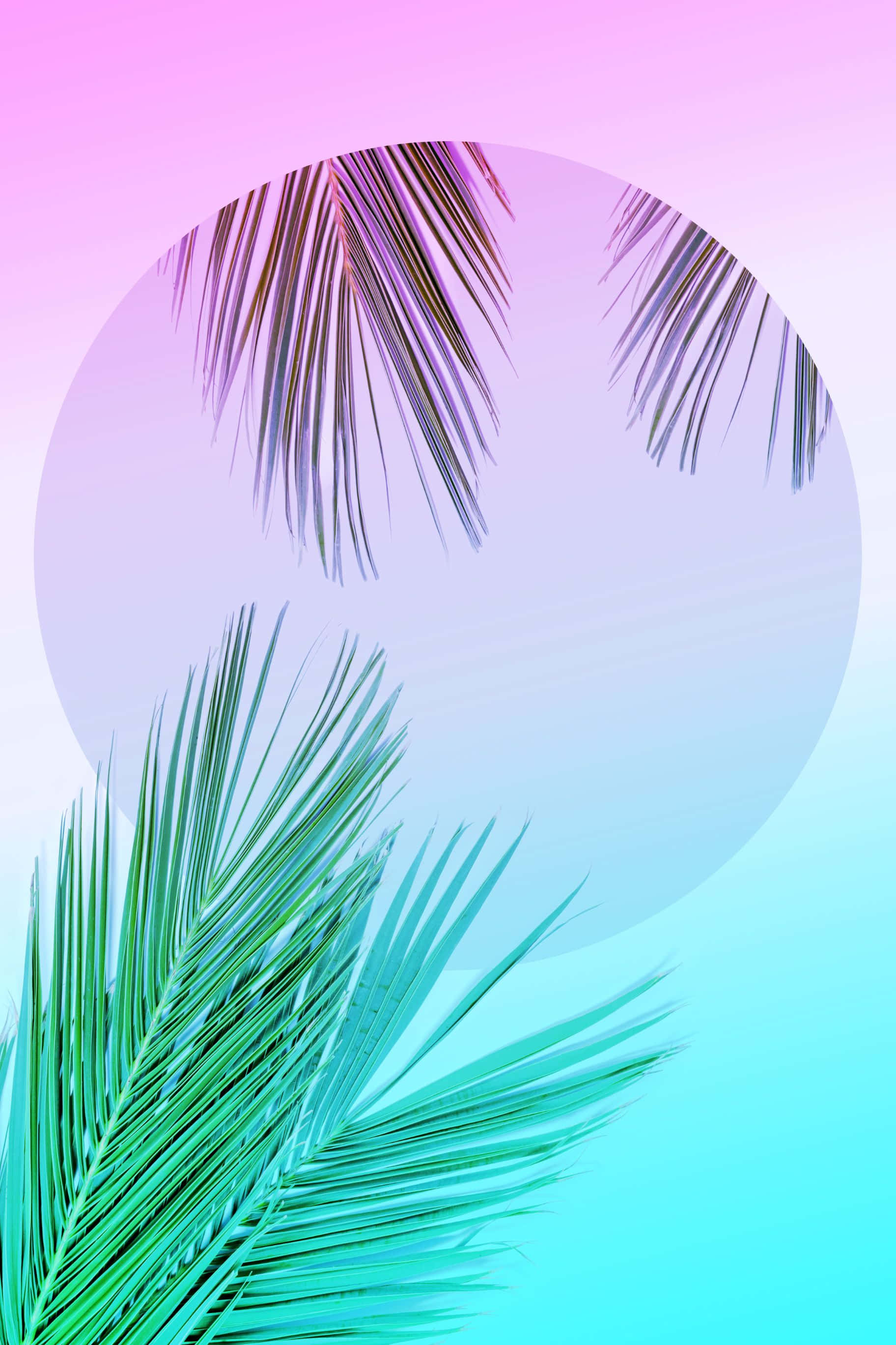 1824x2736, vibrant sunrise, body of water, 2K Phone Wallpaper