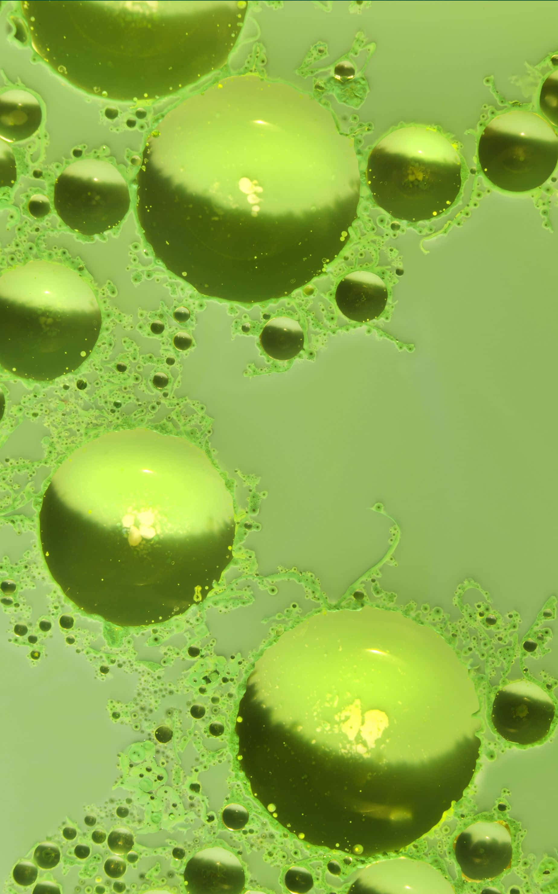 1848x2960, glowing green oil bubbles, water, 2K Phone Wallpaper