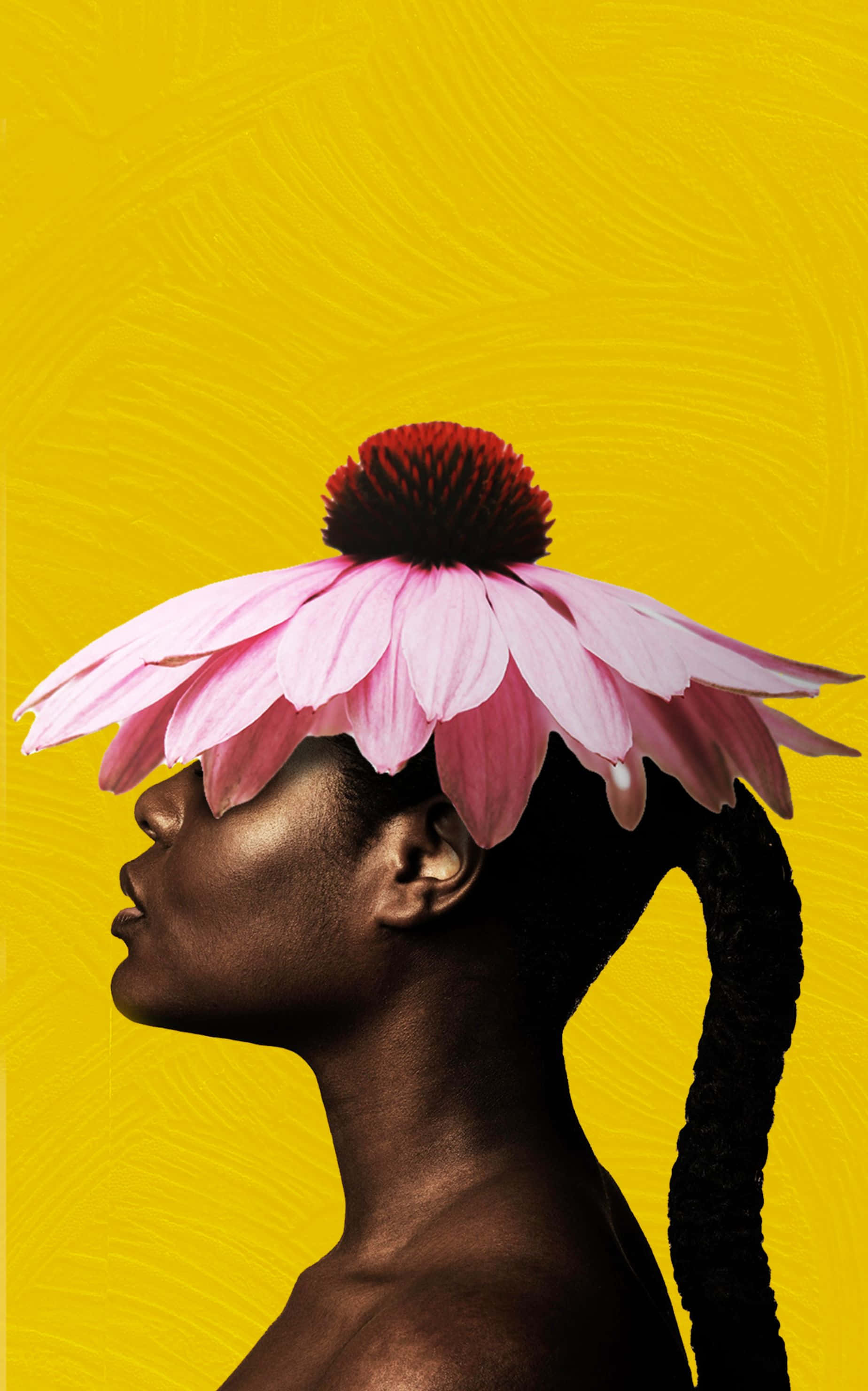 1848x2960, pink coneflower, textured yellow background, 2K Phone Wallpaper