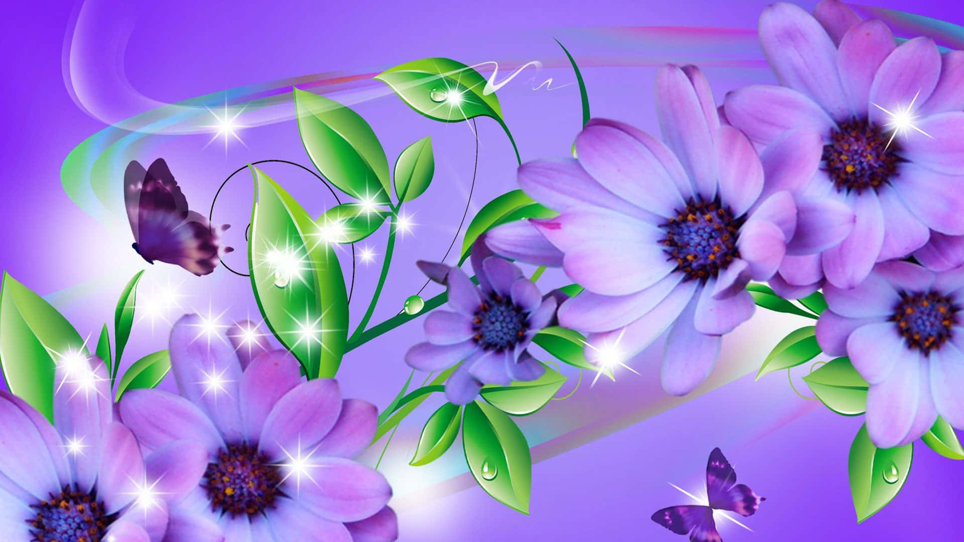 1920 x 1080 flower, vibrant purple flowers, green leaves, Full HD Desktop Wallpaper