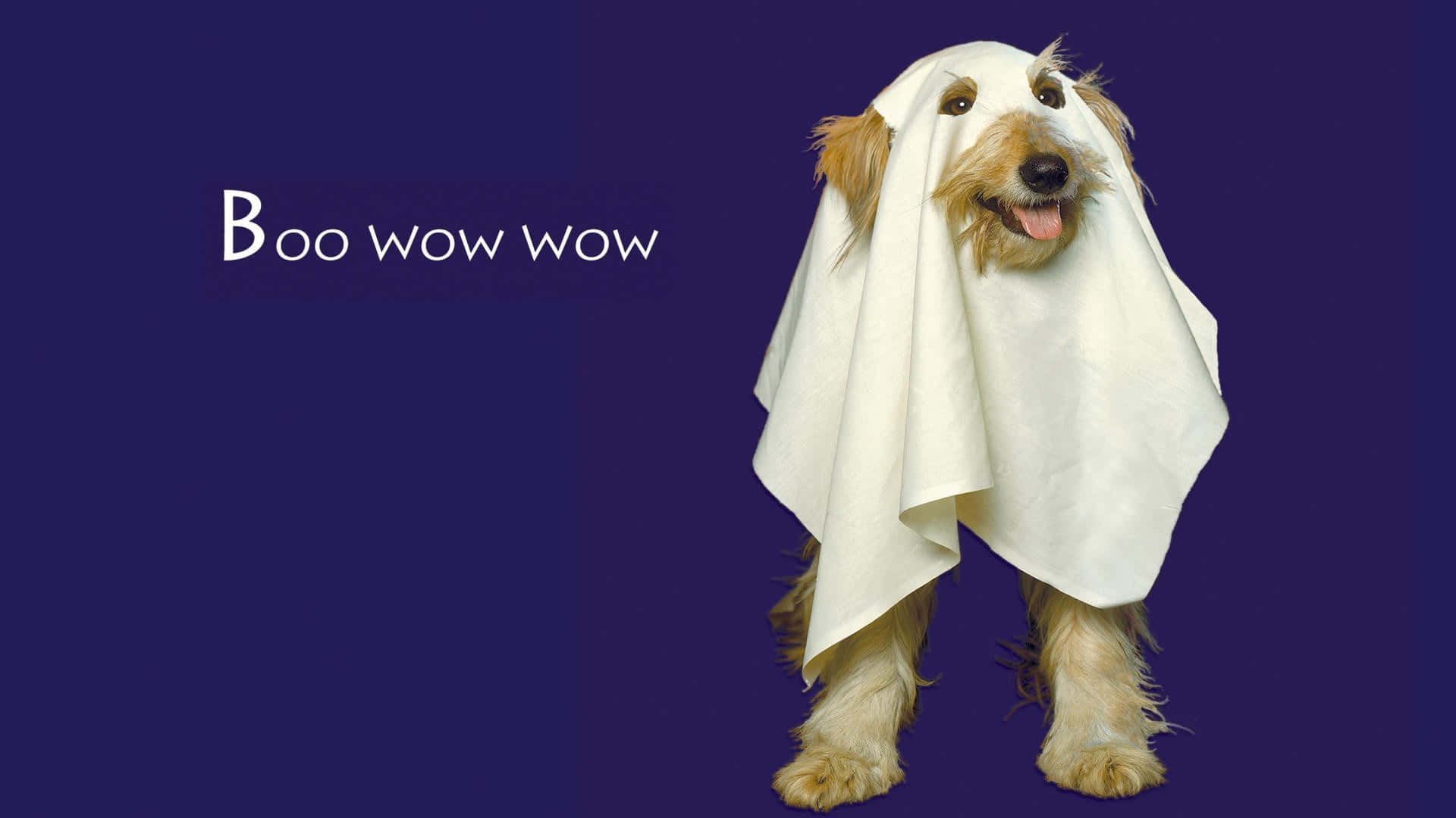 1920 x 1080, Halloween, white ghost costume, Full HD Desktop Wallpaper