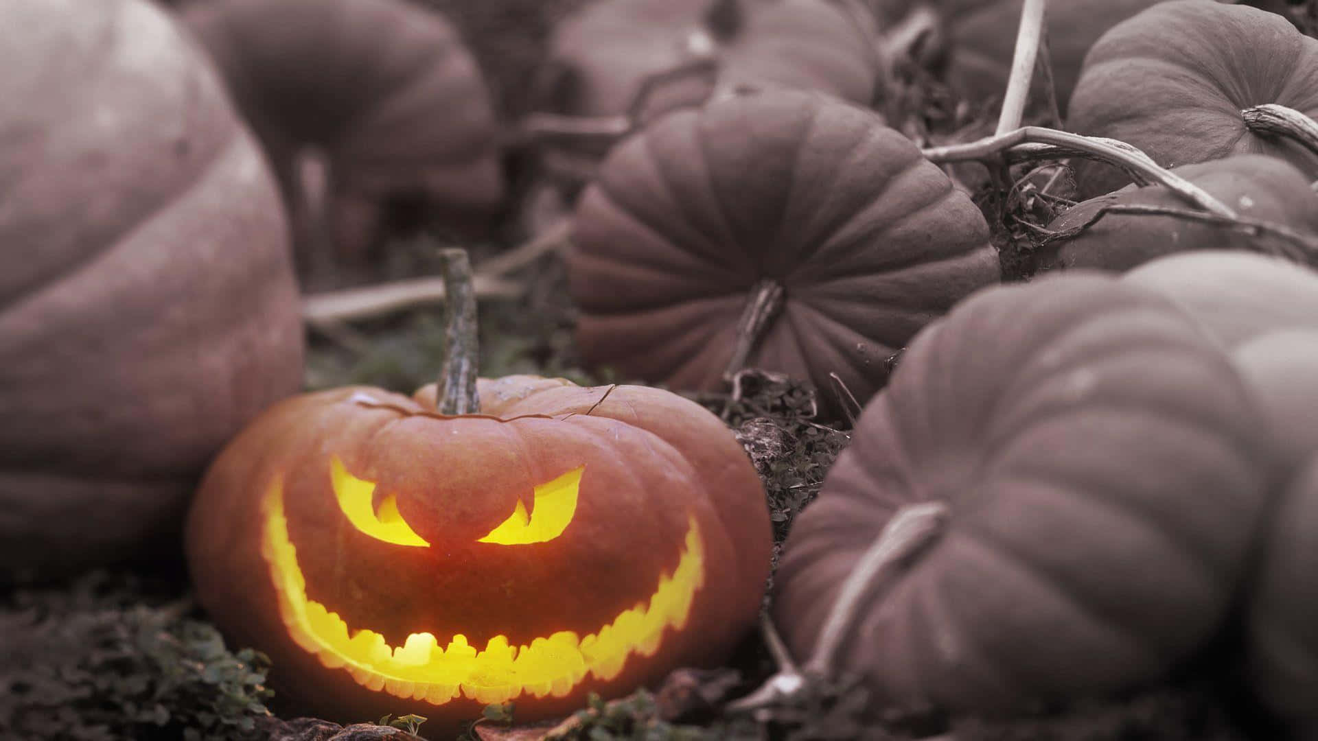 1920 x 1080 halloween, jack-o'-lantern, menacing grin, Full HD Desktop Wallpaper