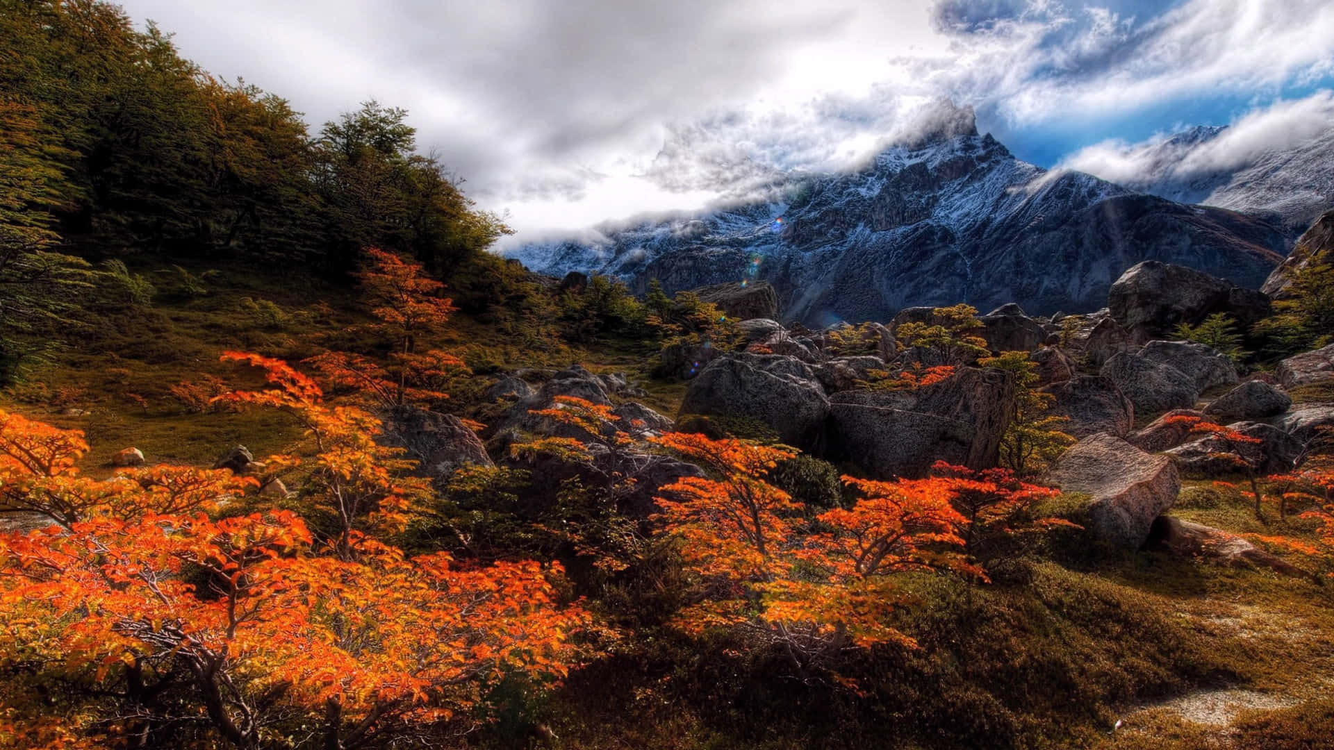 1920 x 1080 nature desktop, vibrant orange autumn trees, rocky hillside, Full HD Desktop Wallpaper