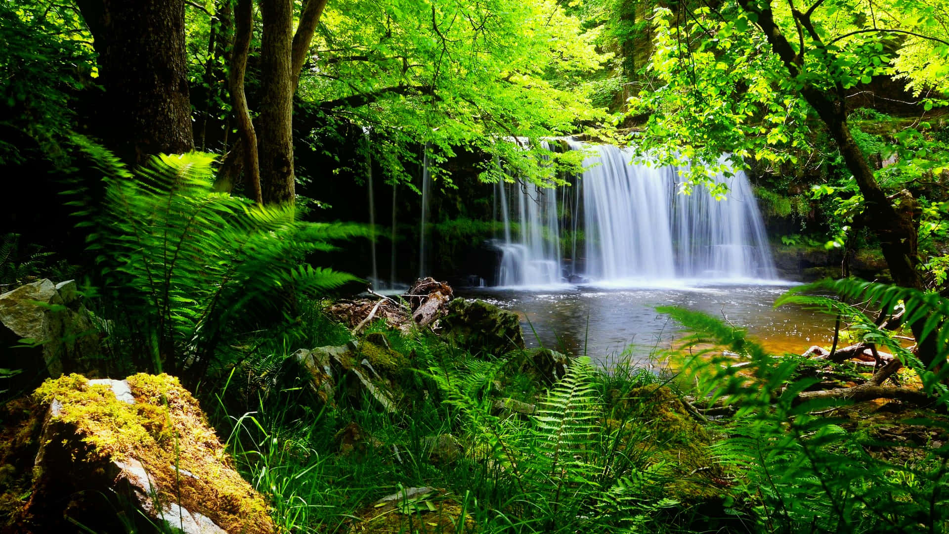 1920 x 1080 nature desktop, waterfall, lush green forest, Full HD Desktop Wallpaper