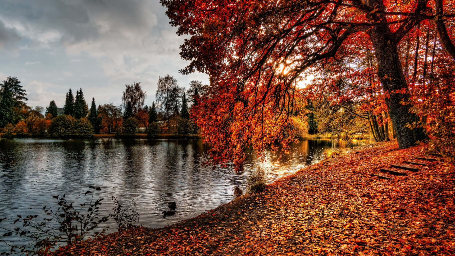 autumn lake scene, fiery red leaves, path, Full HD Desktop Wallpaper