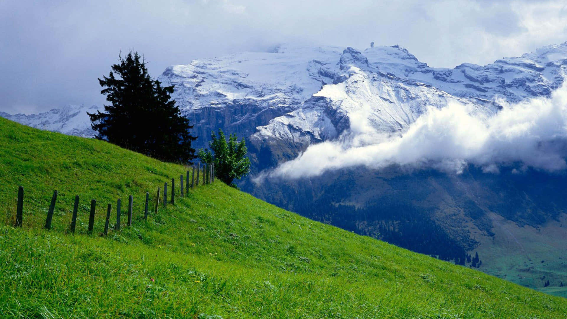 1920 x 1080 nature desktop, vibrant green hillside, wooden fence, Full HD Desktop Wallpaper