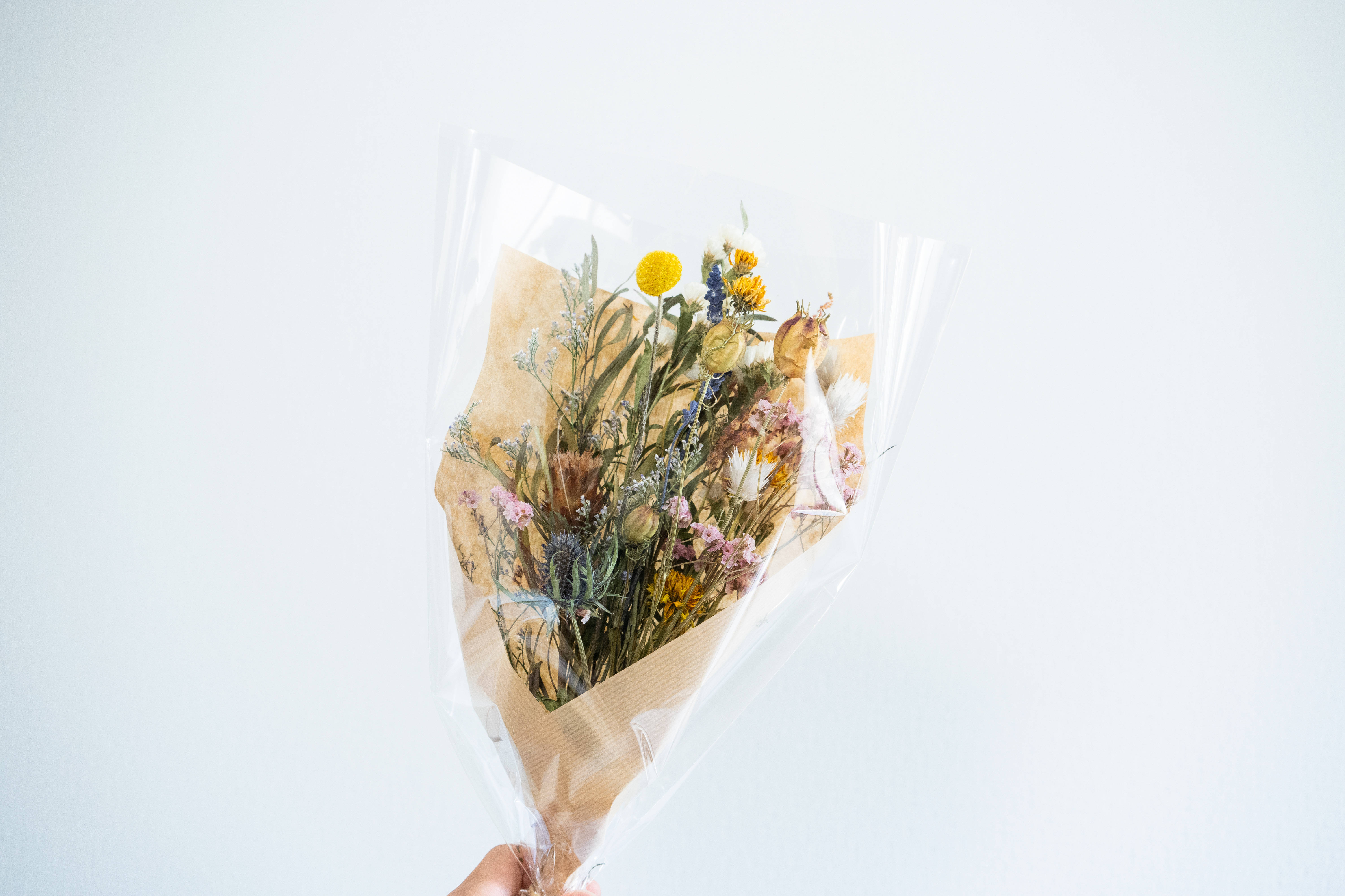 dried wildflowers, clear-wrapped bouquet, plain white background, 5K Desktop Wallpaper