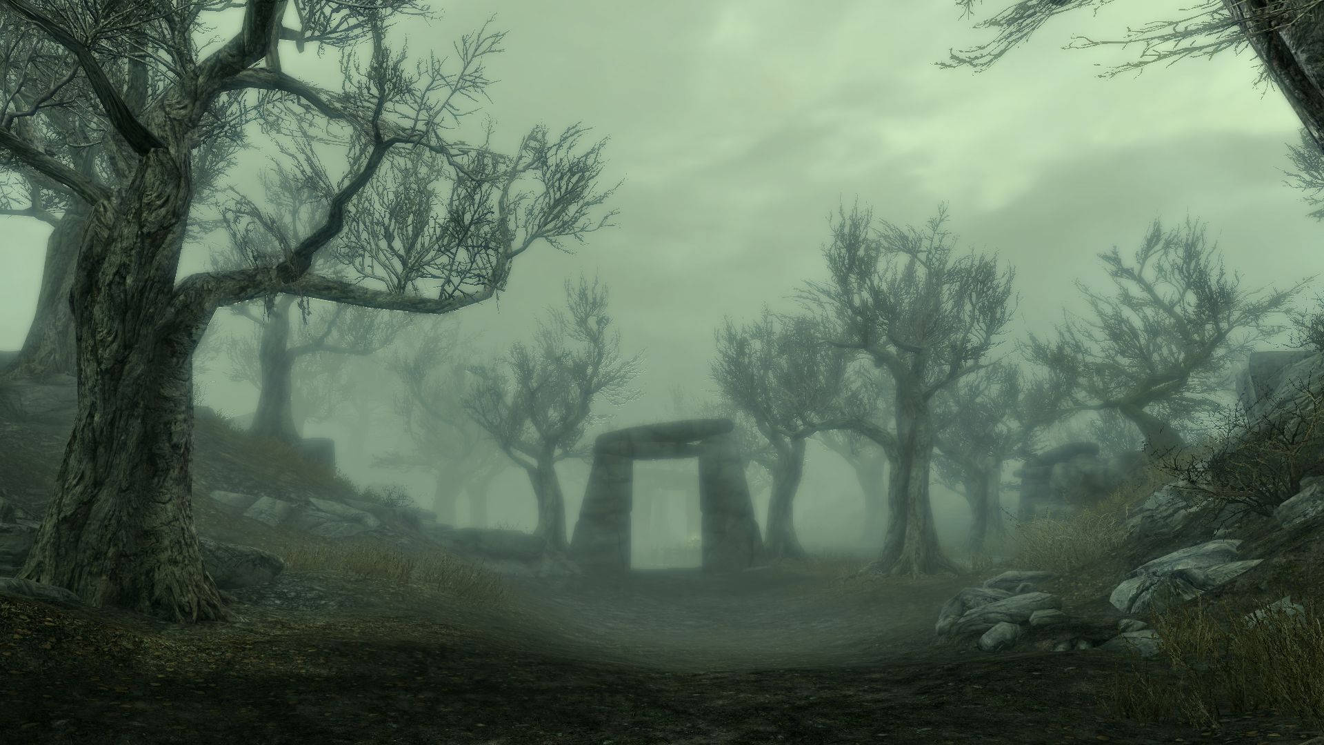 Skyrim, misty forest, bare trees, Full HD Desktop Wallpaper