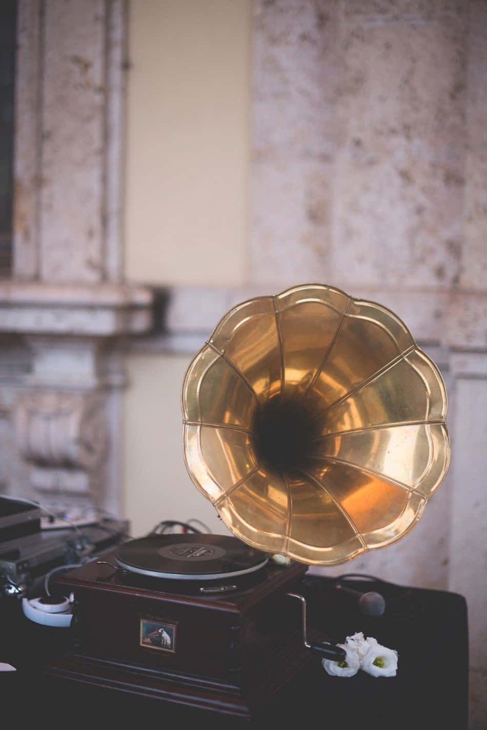 vintage brass gramophone, wooden base, white flowers, HD Phone Wallpaper