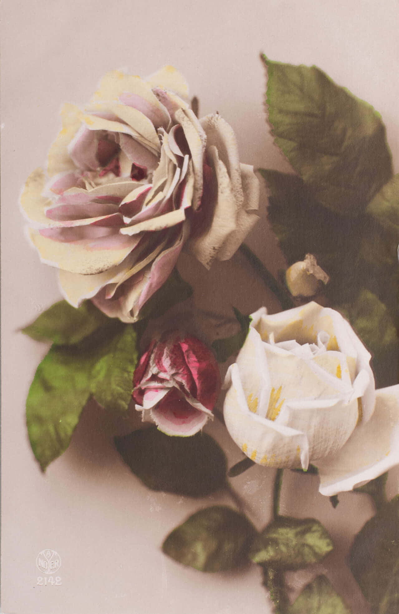 1920s style, soft cream pink, white, Full HD Phone Wallpaper