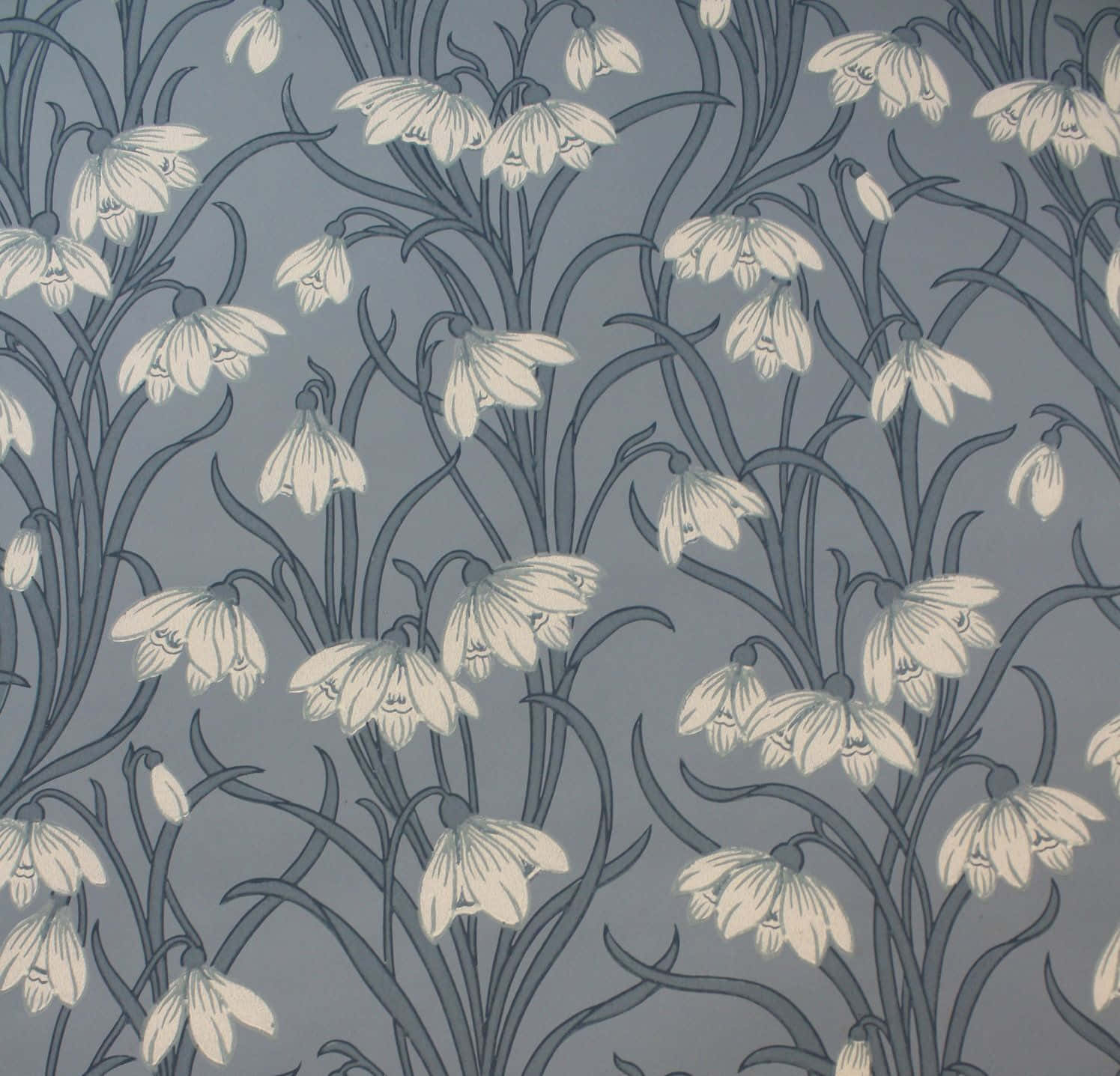 elegant floral pattern, white snowdrop flowers, dark stems, HD Desktop Wallpaper