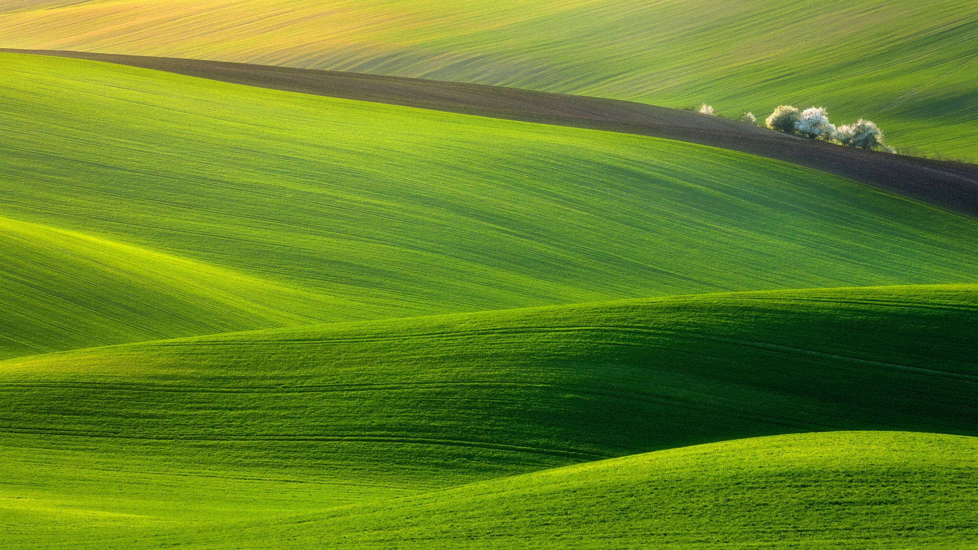 1920x1080 4K, green hills, emerald hills, Full HD Desktop Wallpaper