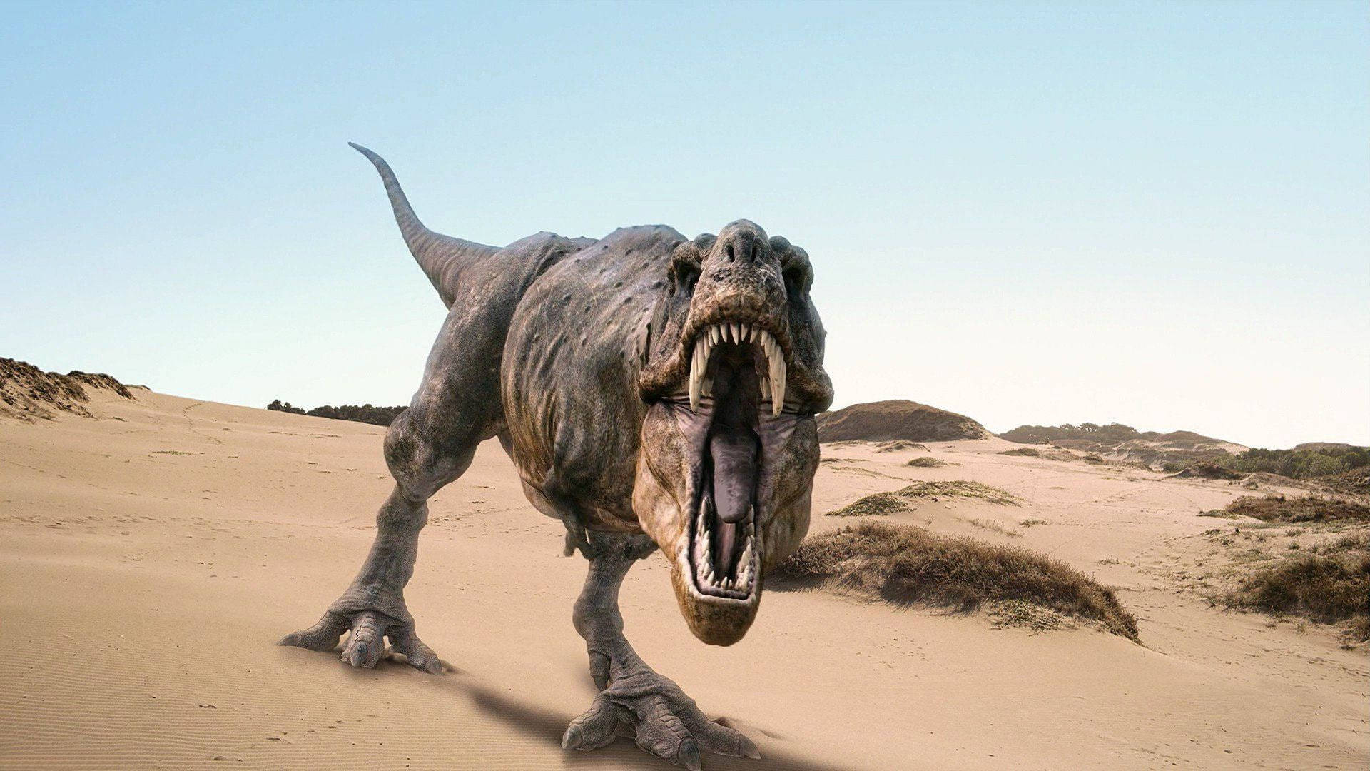 1920x1080 4K, tyrannosaurus rex, desert, Full HD Desktop Wallpaper