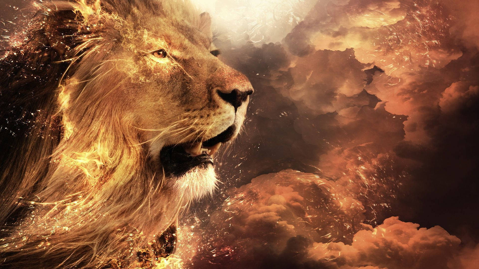 1920x1080 4K, lion, fiery particles, Full HD Desktop Wallpaper