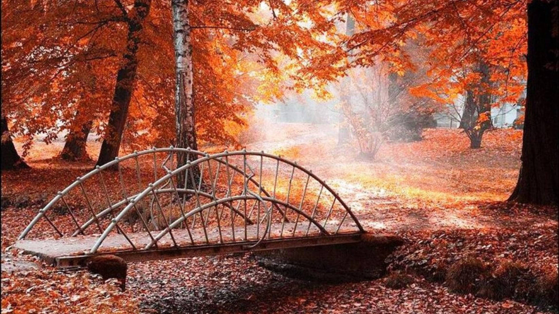 1920x1080 4K, metal arched bridge, mossy stream, Full HD Desktop Wallpaper