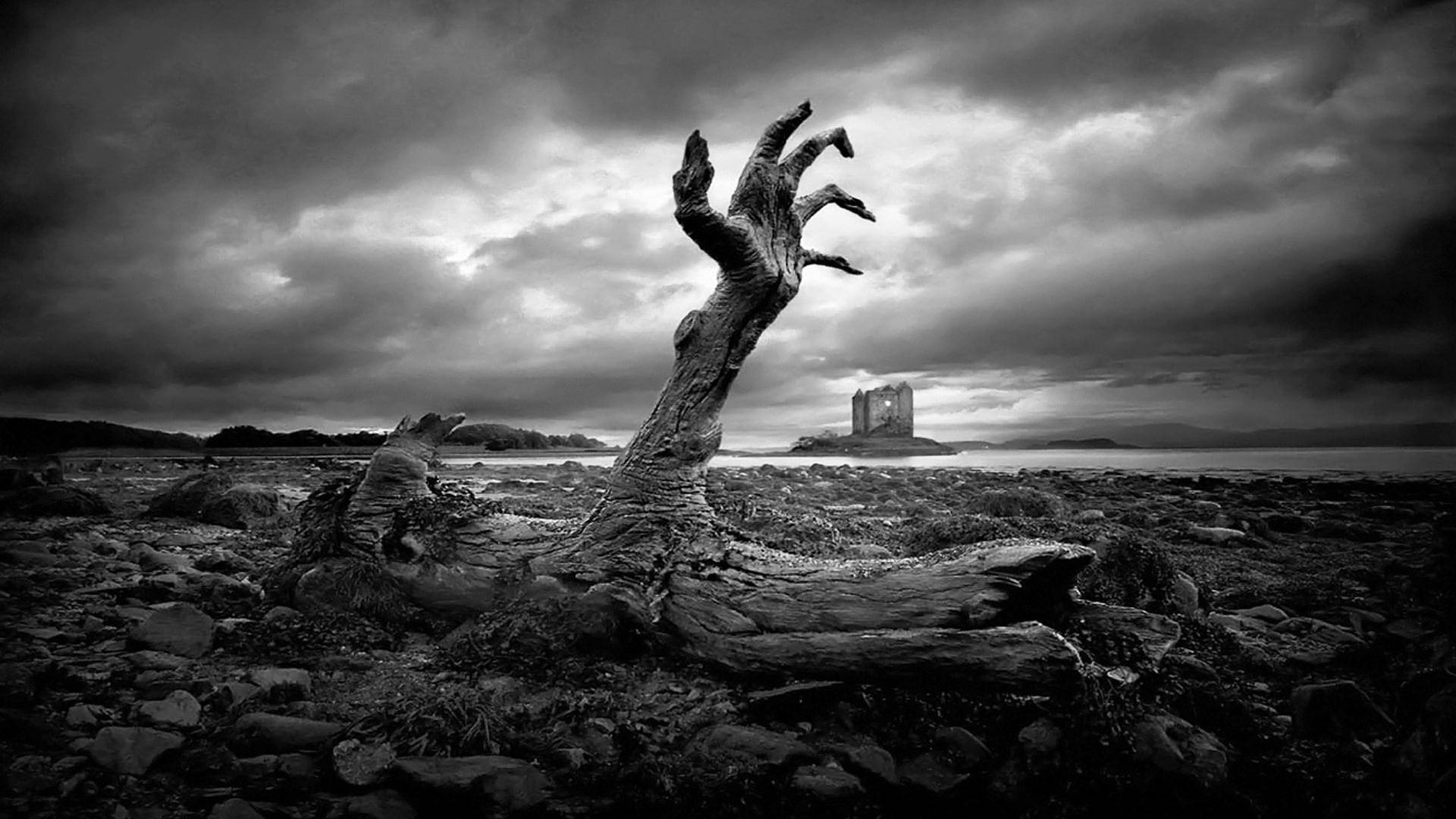 1920x1080 4K, gnarled tree trunk, reaching hand, Full HD Desktop Wallpaper