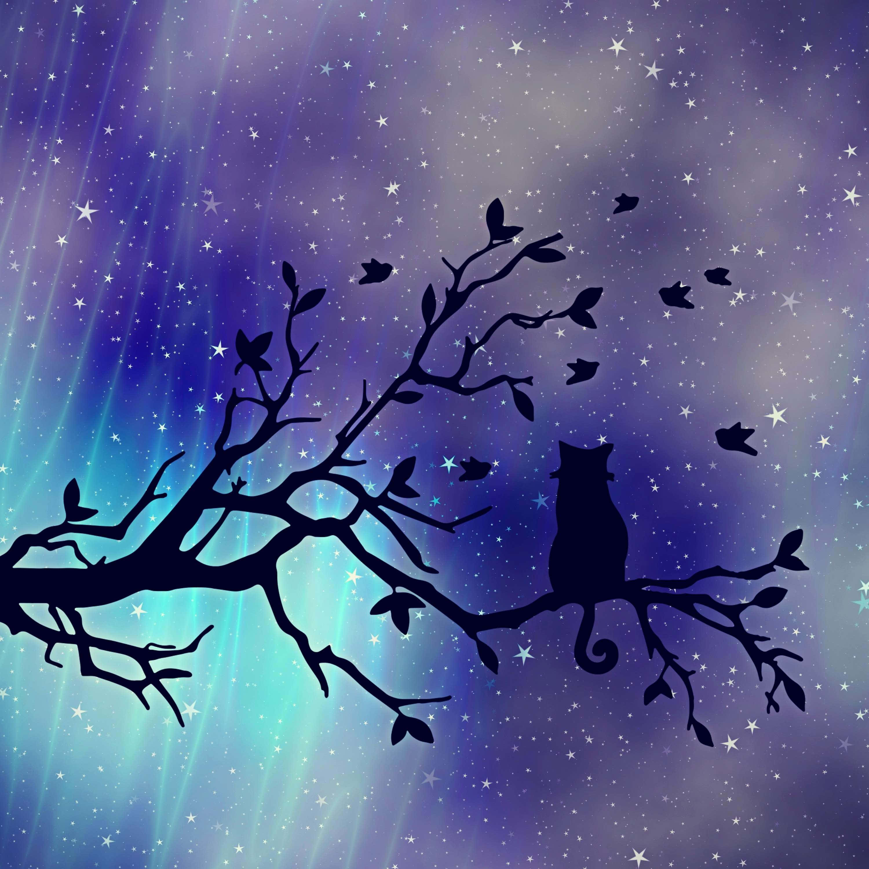 black cat silhouette, bare branch, vibrant starry night sky, 2K Desktop Wallpaper