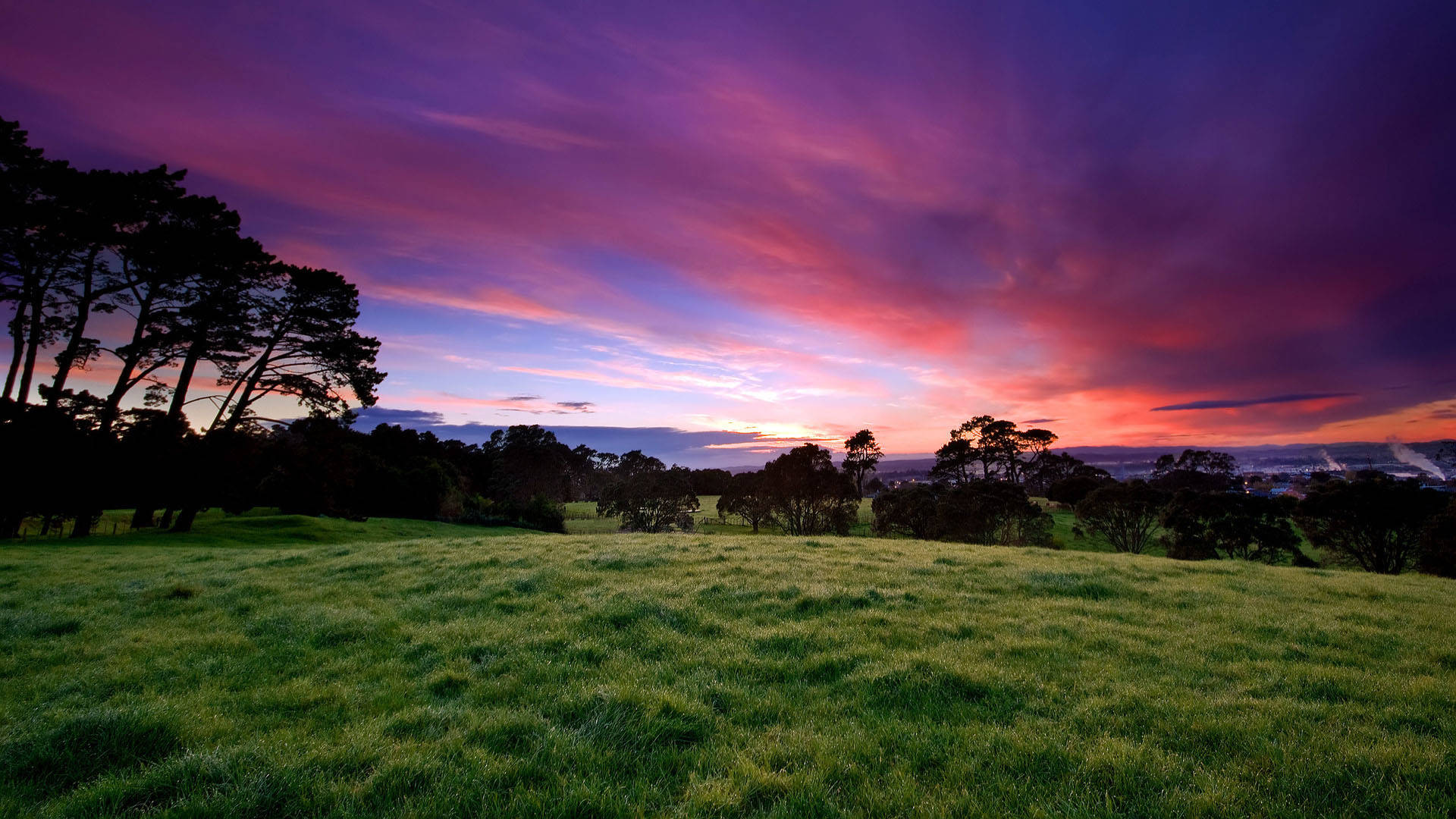 1920x1080 Full HD Nature, purple sky, vibrant purple and pink sunset, Full HD Desktop Wallpaper