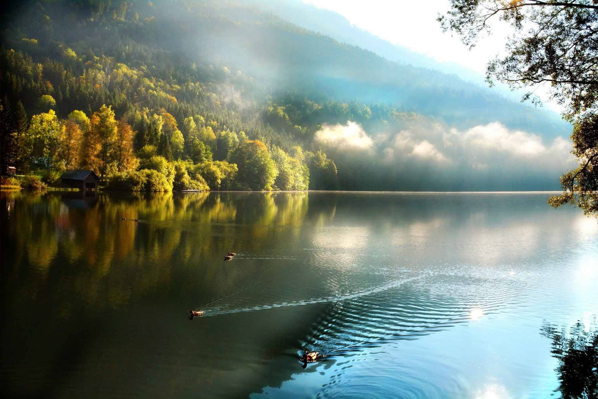 1920x1080 Full HD Nature, trees, lake, Full HD Desktop Wallpaper
