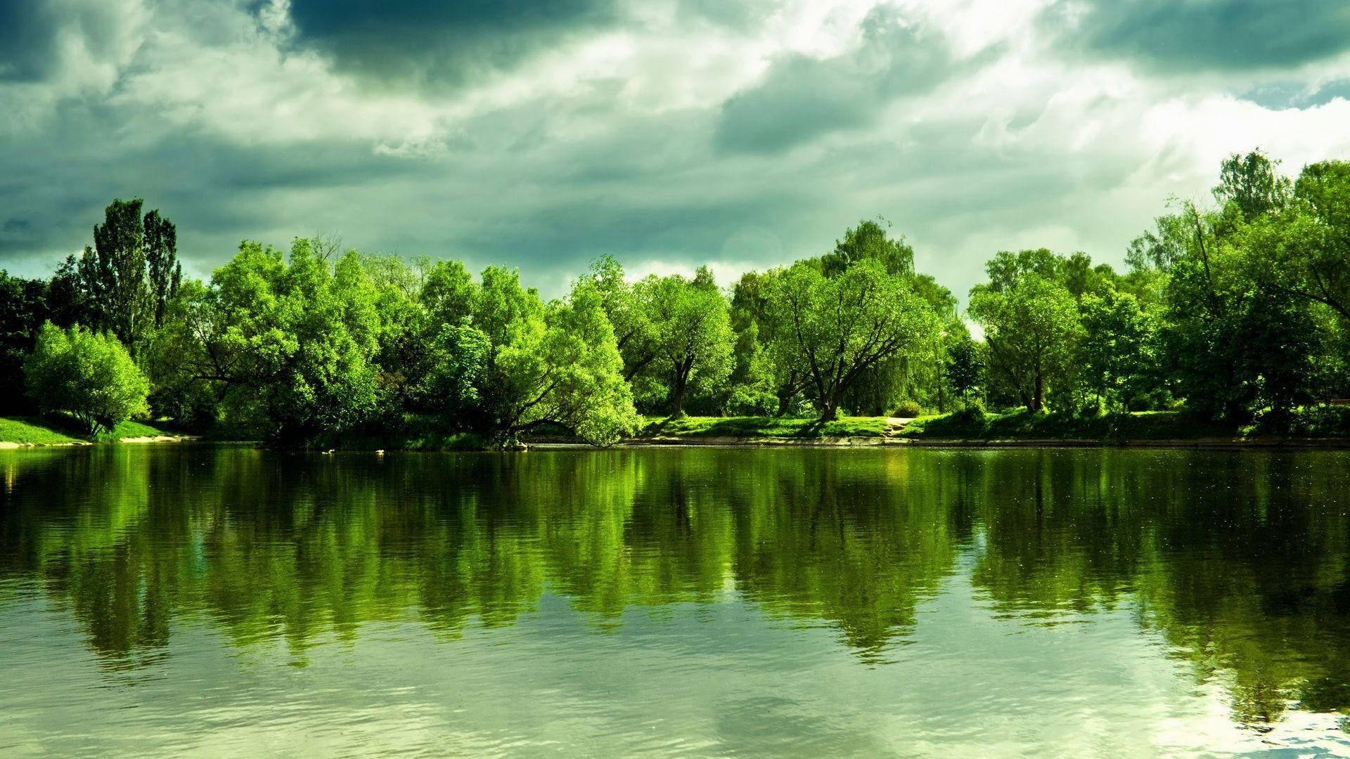 1920x1080 Full HD Nature, green trees, gloomy sky, Full HD Desktop Wallpaper