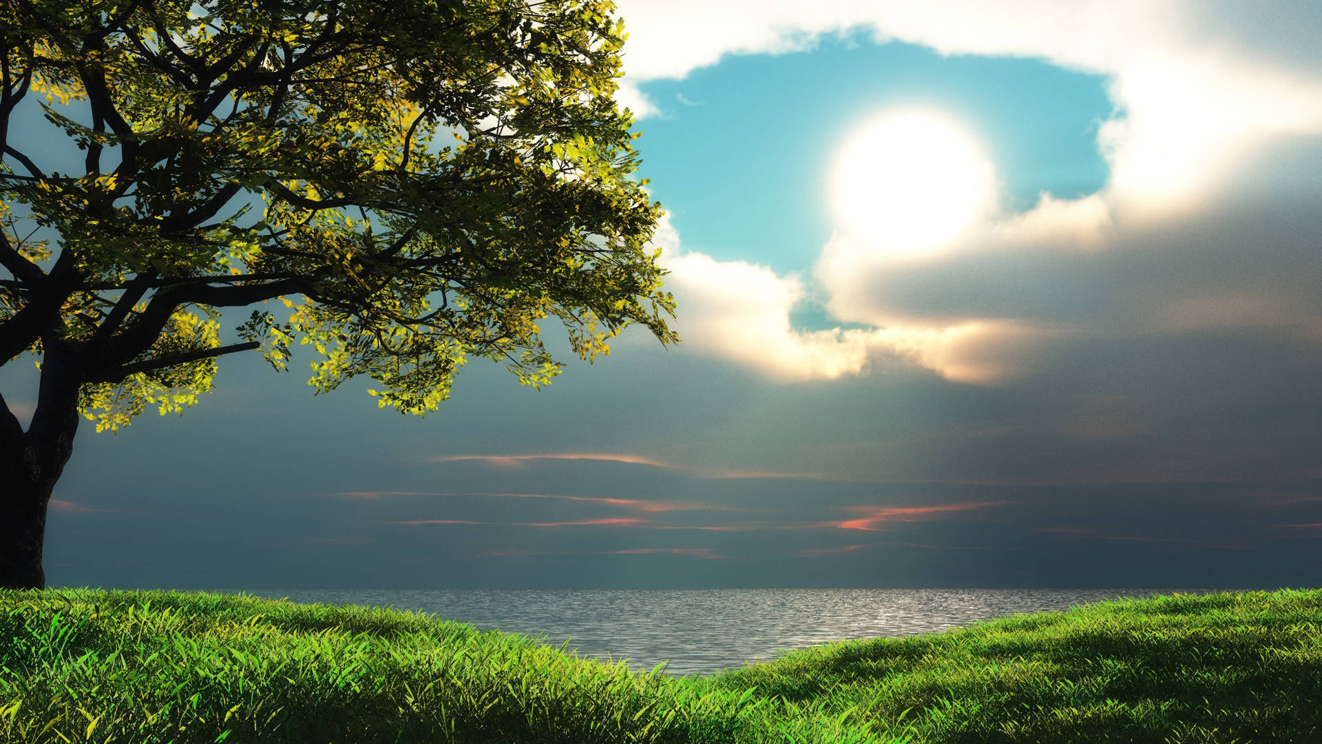 1920x1080 Full HD Nature, sunny clouds, lone tree, Full HD Desktop Wallpaper
