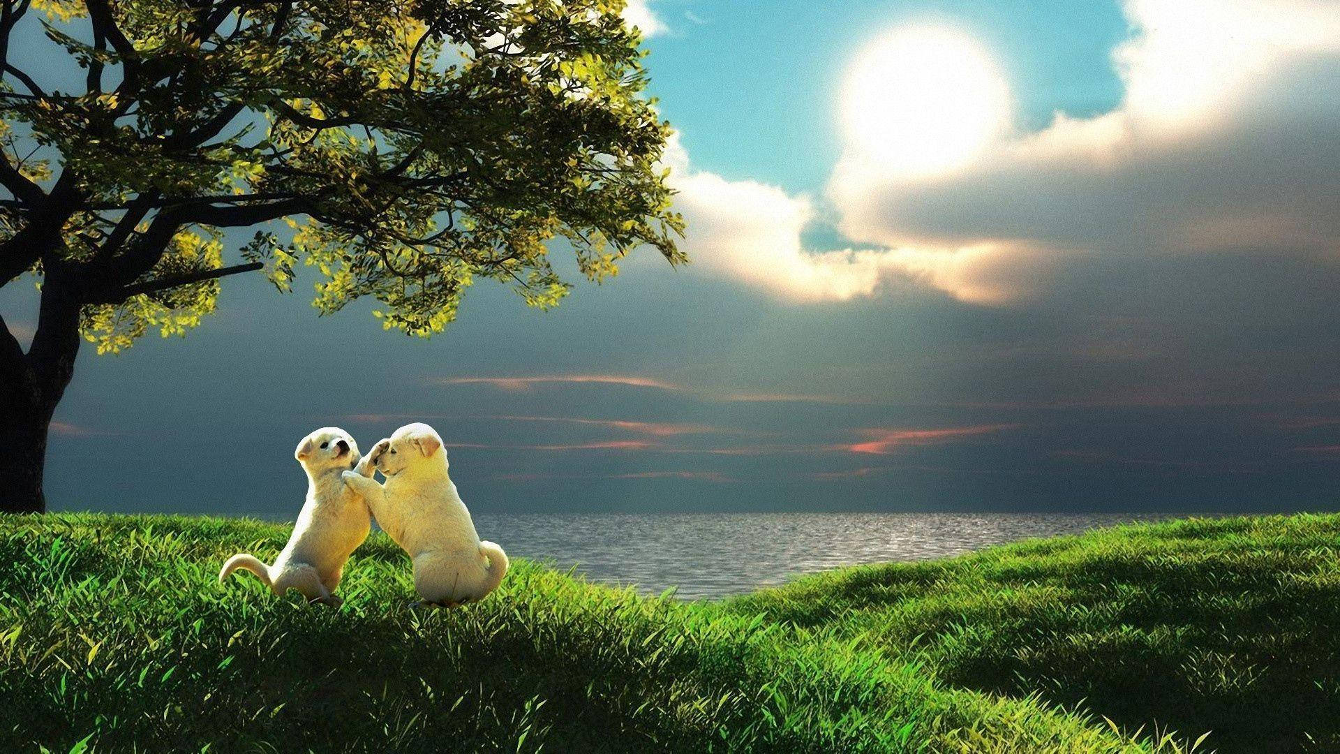 1920x1080 Full HD, dogs, hill, Full HD Desktop Wallpaper