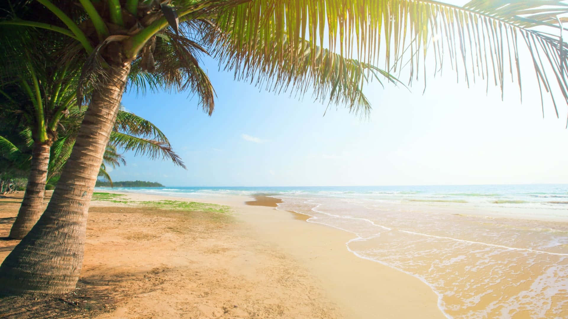 1920x1080 HD Beach, tropical beach, palm trees, Full HD Desktop Wallpaper