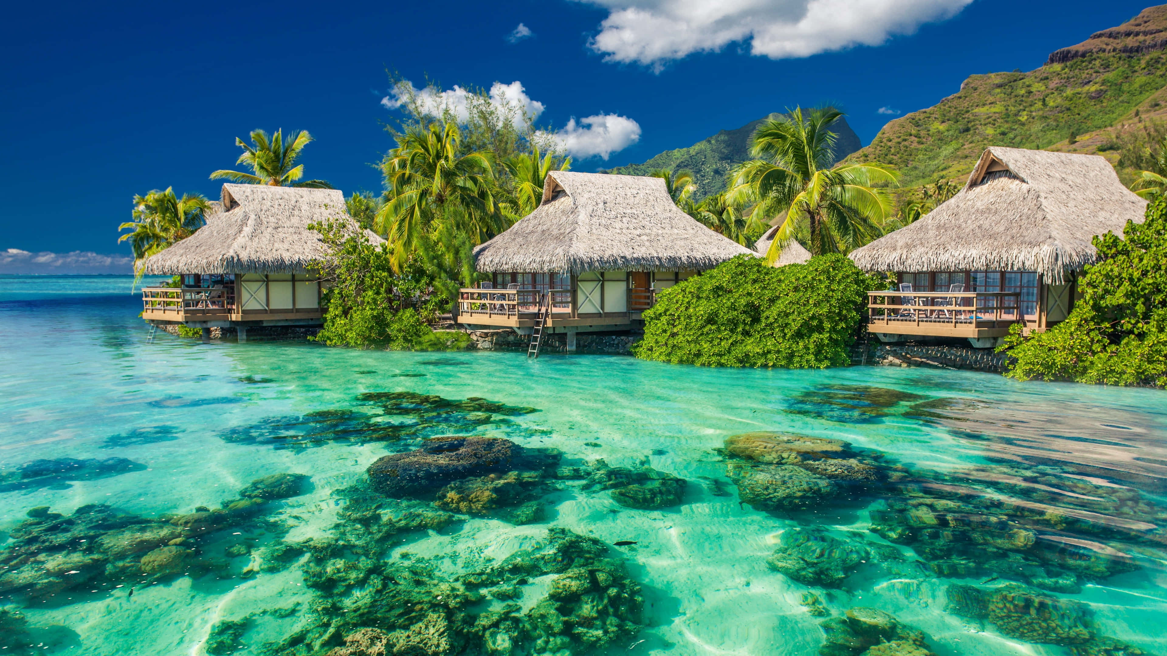 1920x1080 HD Beach, overwater bungalows, thatched roofs, 4K Desktop Wallpaper