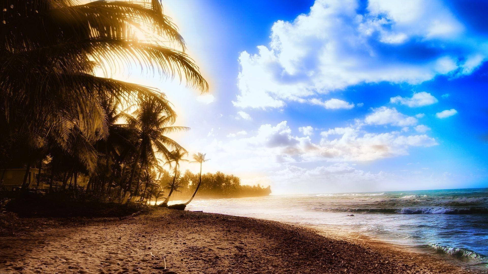 Sunny Beach, 1920x1080 HD Summer, palm fronds, Full HD Desktop Wallpaper