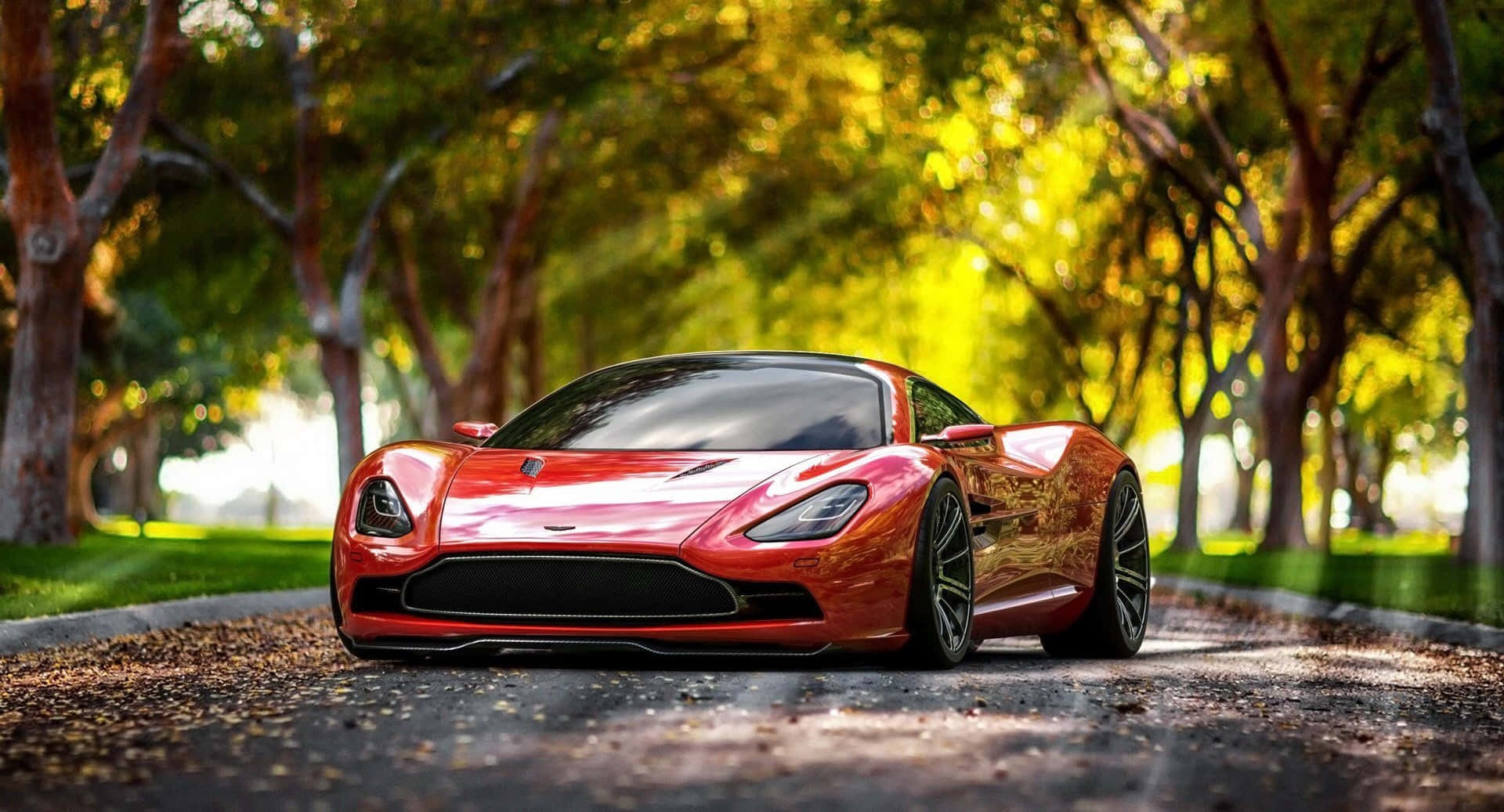red sports car, golden sunlight, tree-lined road, Full HD Desktop Wallpaper
