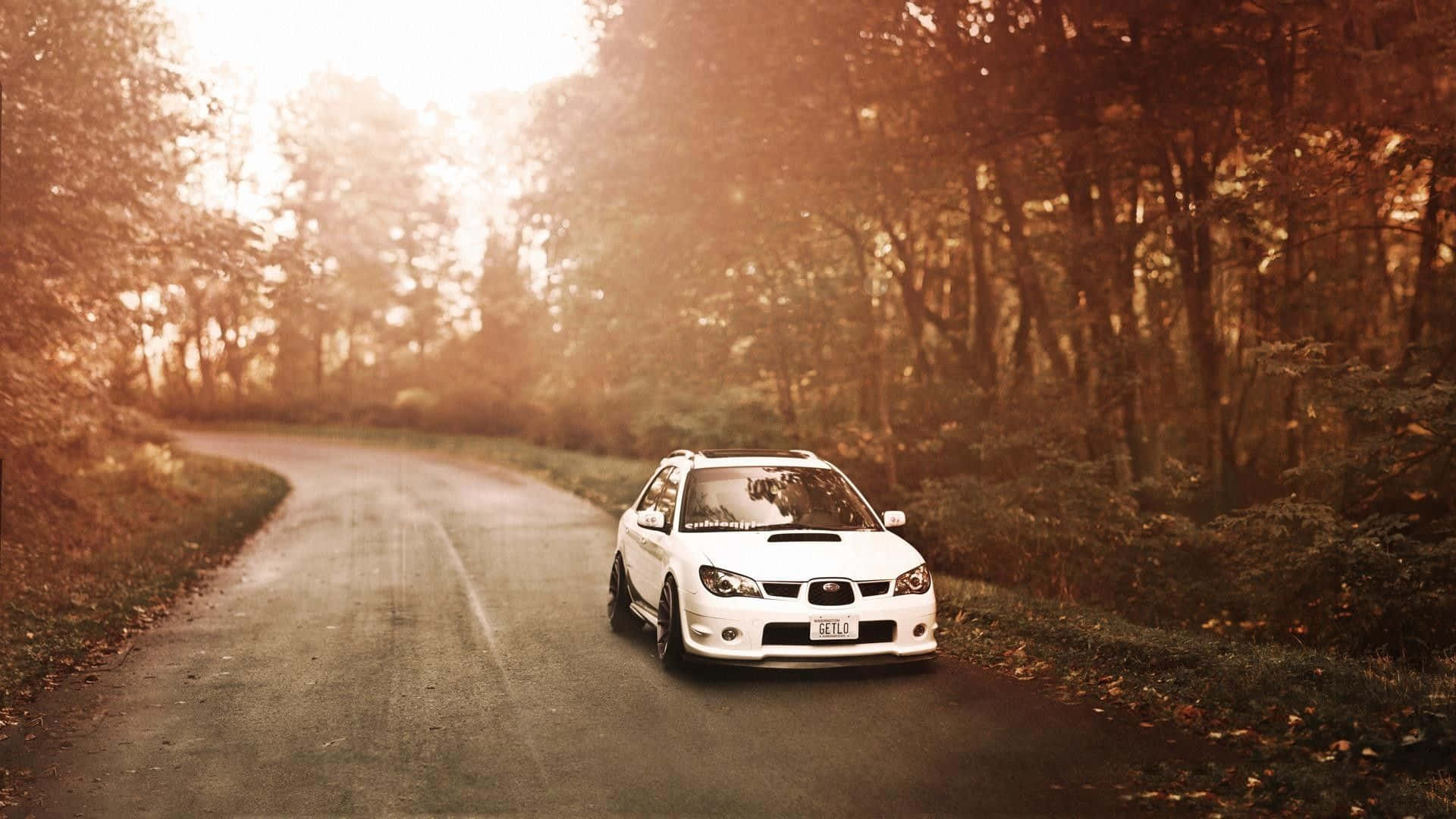 white sports car, winding forest road, golden sunset light, Full HD Desktop Wallpaper