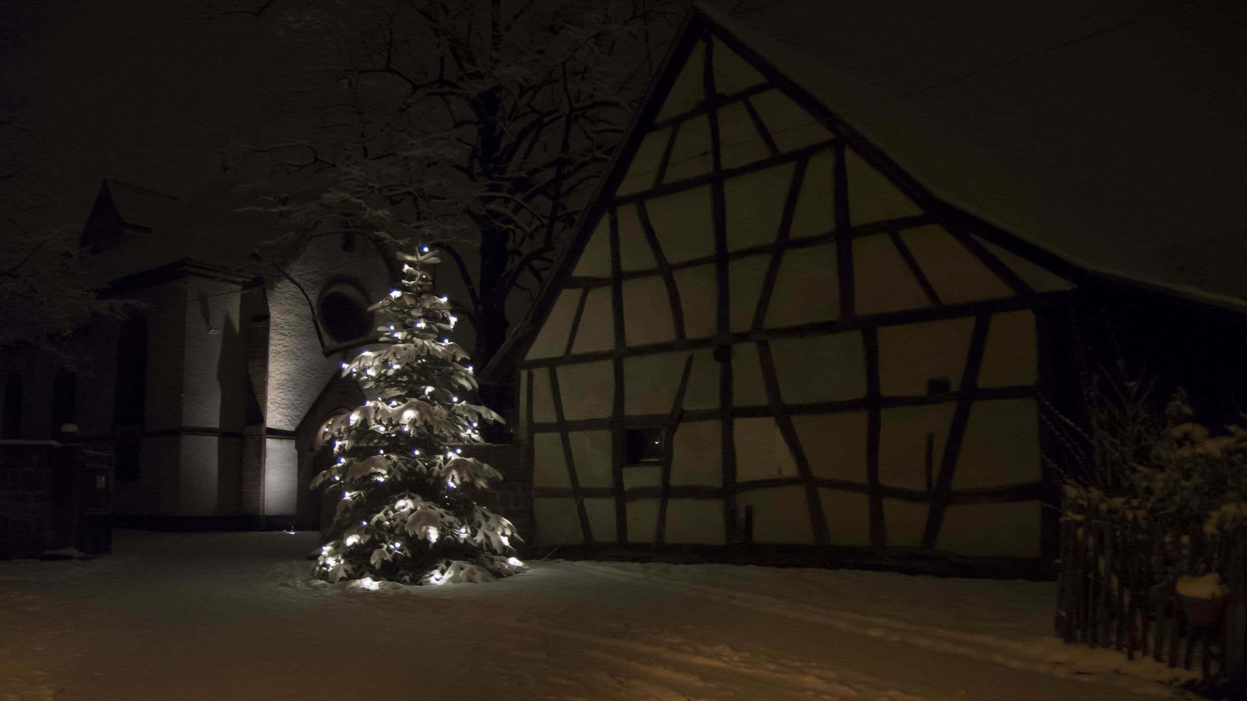 1920x1080 HD Christmas, Christmas tree, snow-covered, 2K Desktop Wallpaper