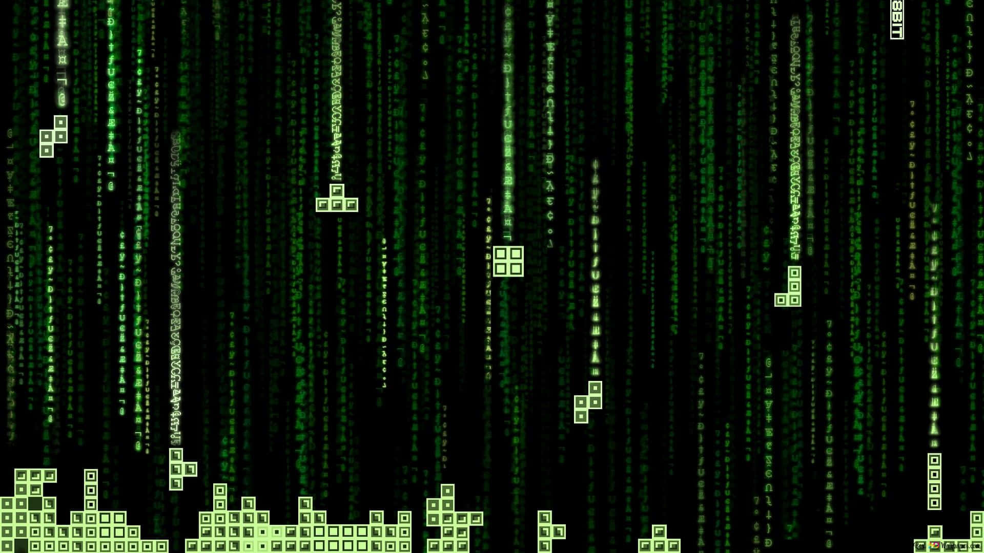 1920x1080 HD Coding, green digital code streams, black void, Full HD Desktop Wallpaper