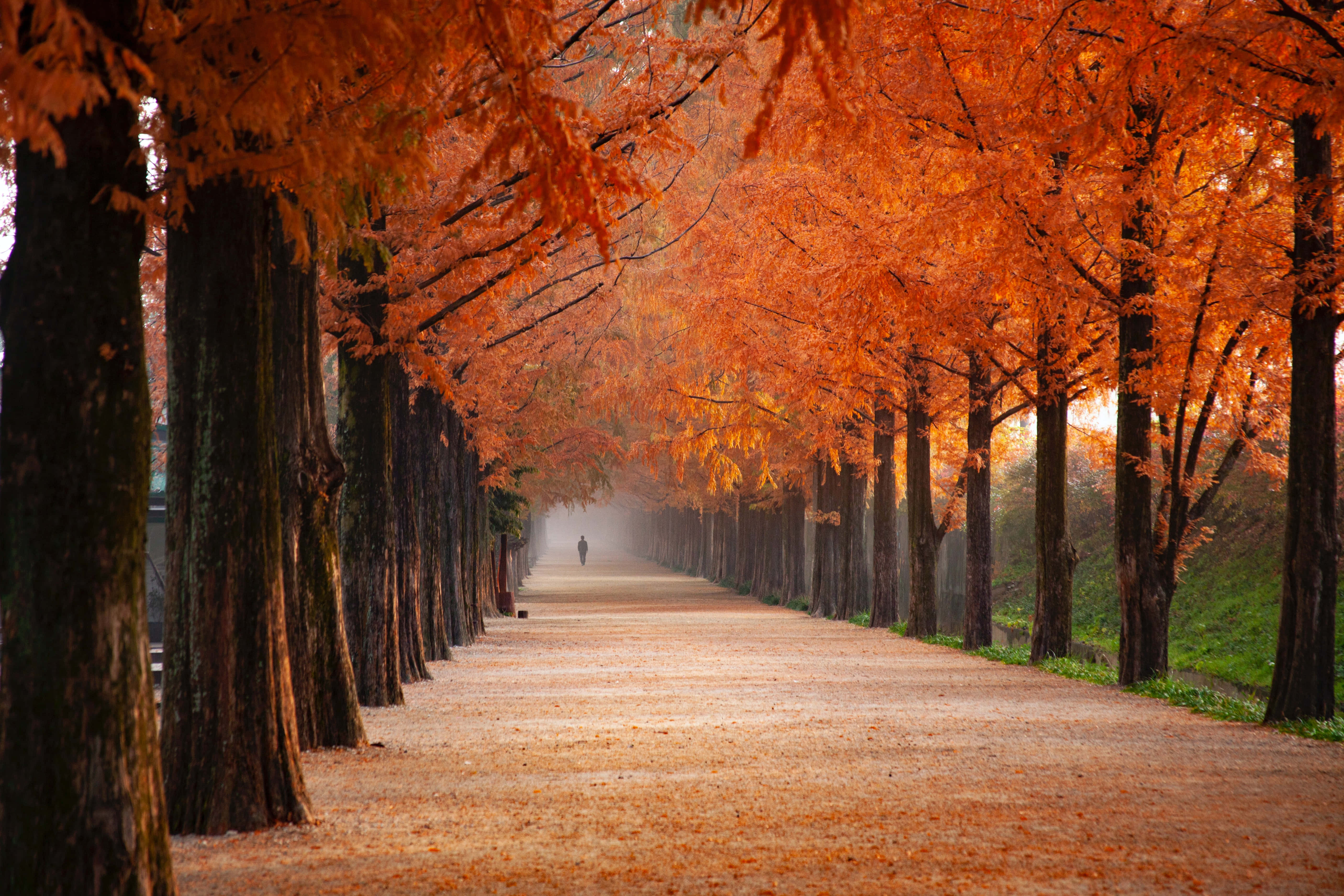 1920x1080 HD Fall, autumn, countryside, 5K Desktop Wallpaper