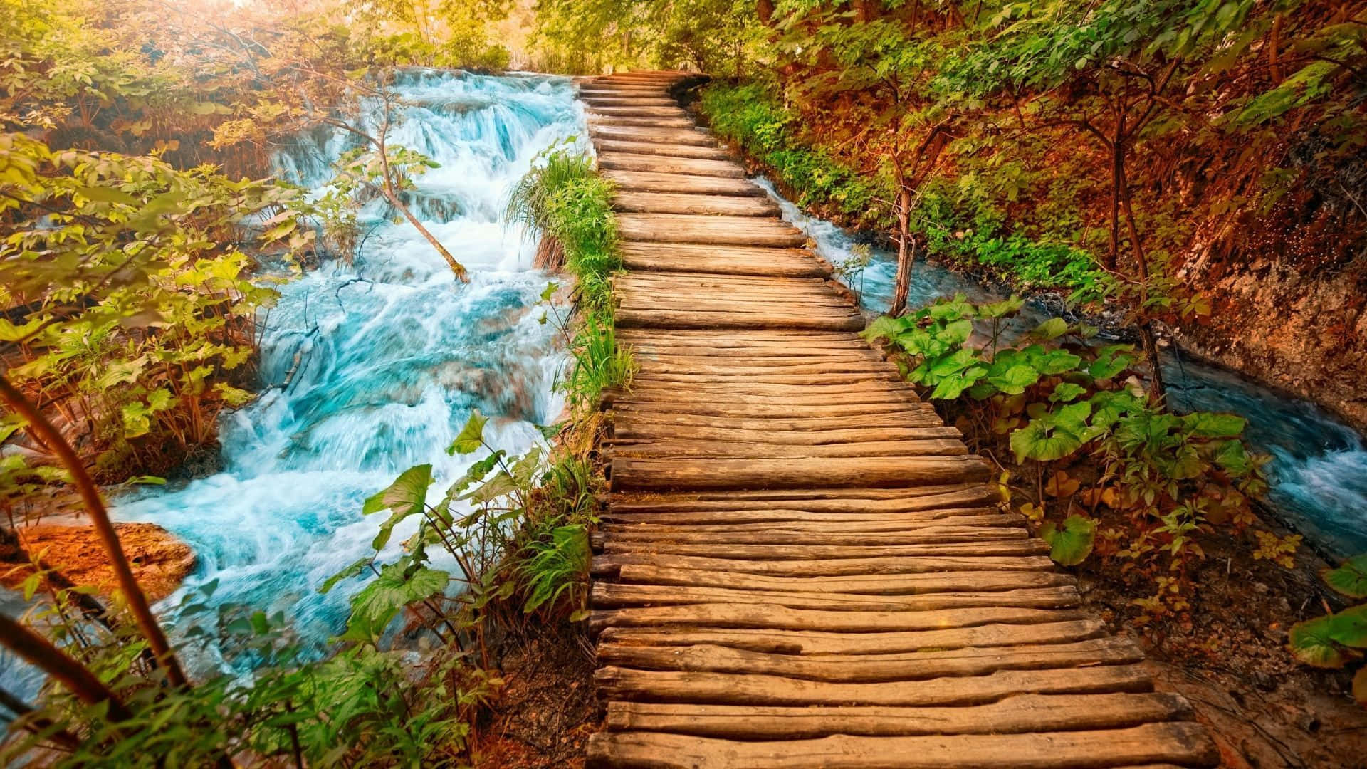 1920x1080 HD Fall, wooden boardwalk, autumn foliage, Full HD Desktop Wallpaper