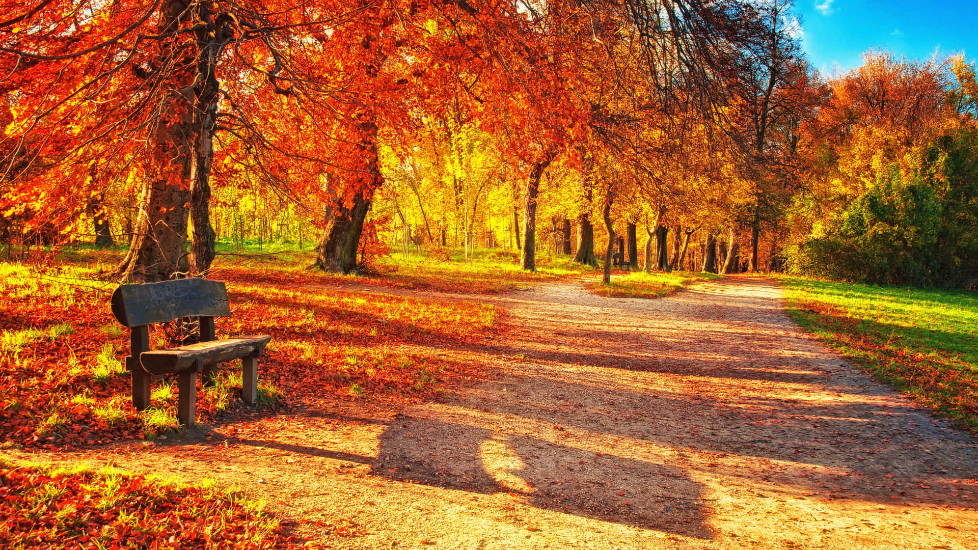 wooden bench, autumn trees, orange autumn leaves, Full HD Desktop Wallpaper