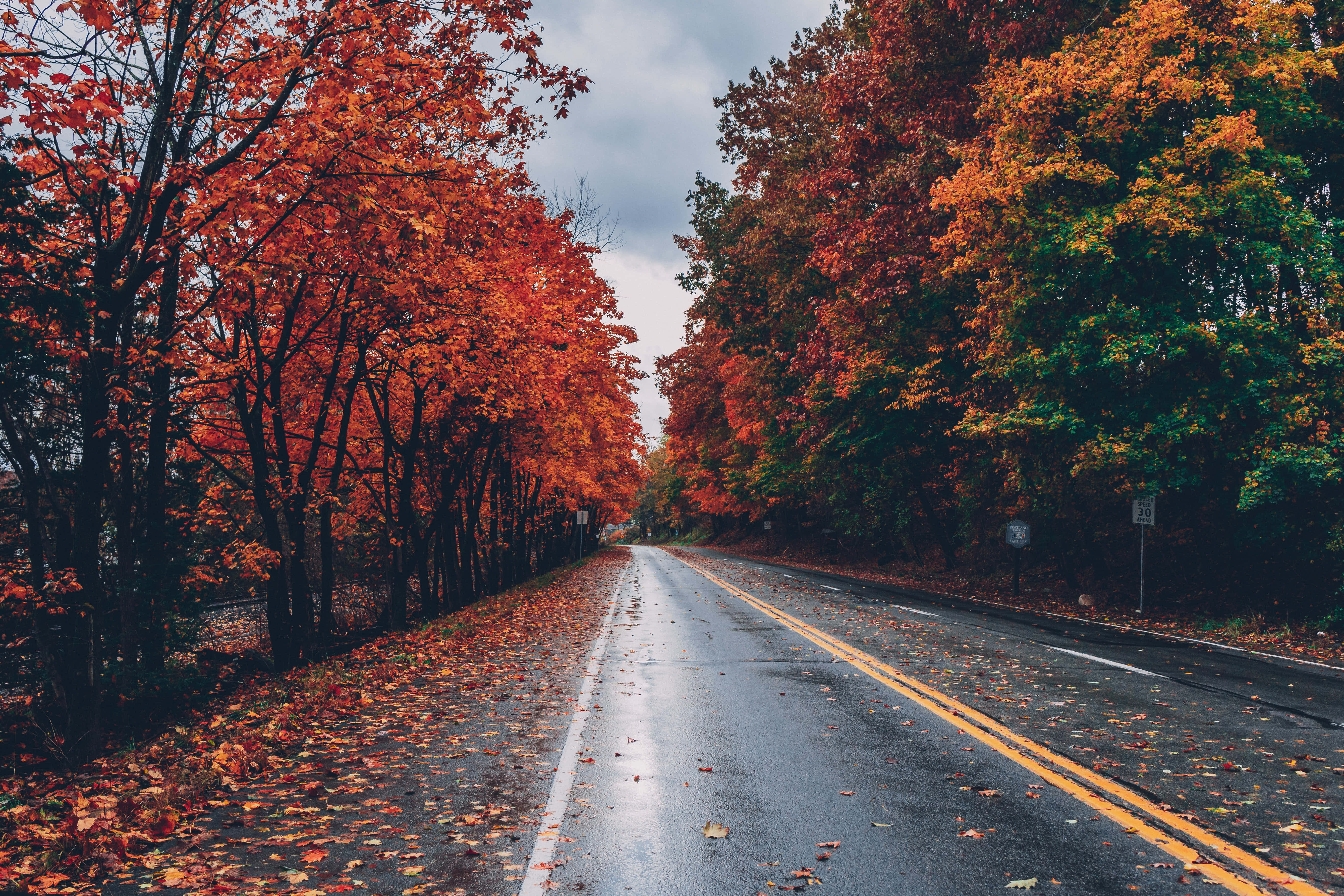 1920x1080 HD Fall, autumn leaves, forest path, 5K Desktop Wallpaper