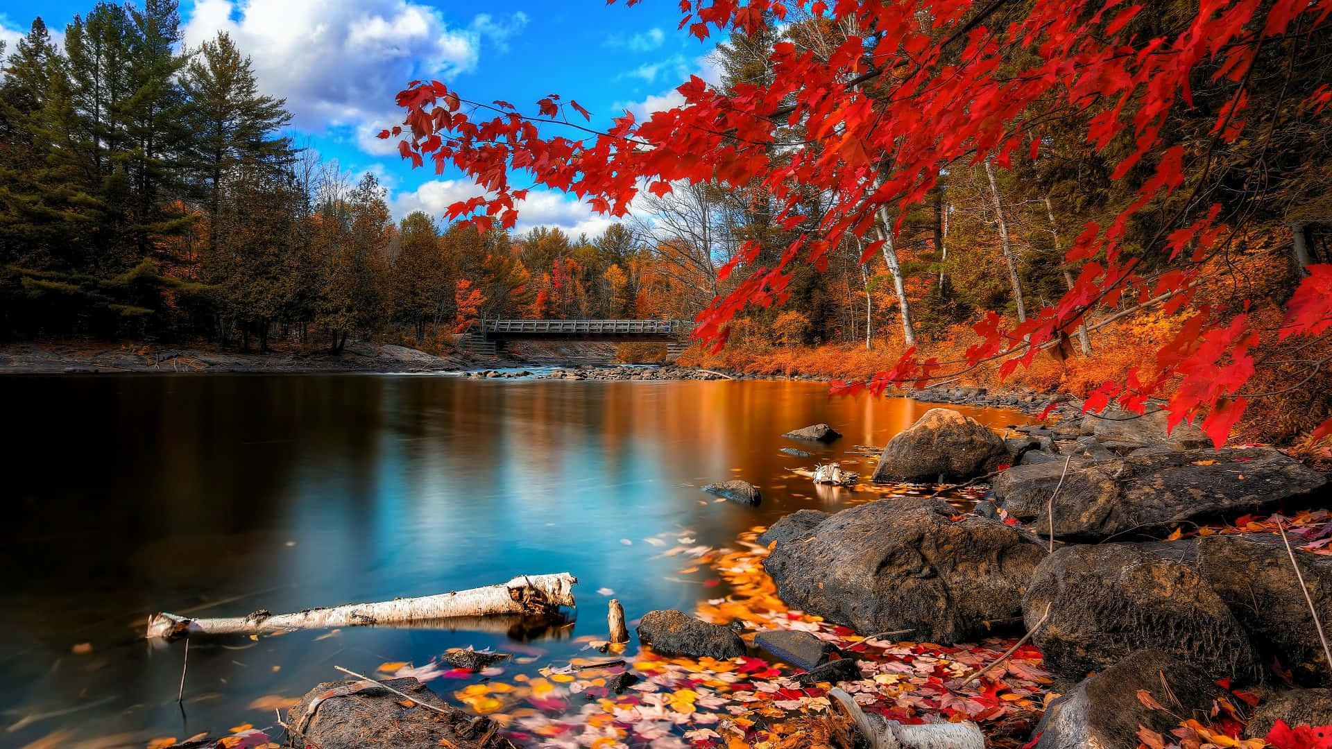 1920x1080 HD Fall, red maple leaves, autumn river, Full HD Desktop Wallpaper