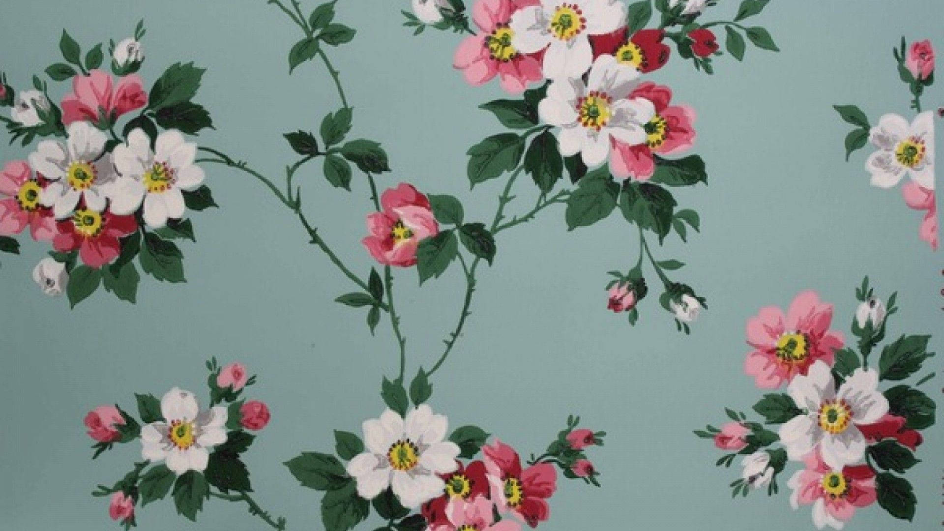 1920x1080 HD Flower, pink and white roses, teal background, Full HD Desktop Wallpaper