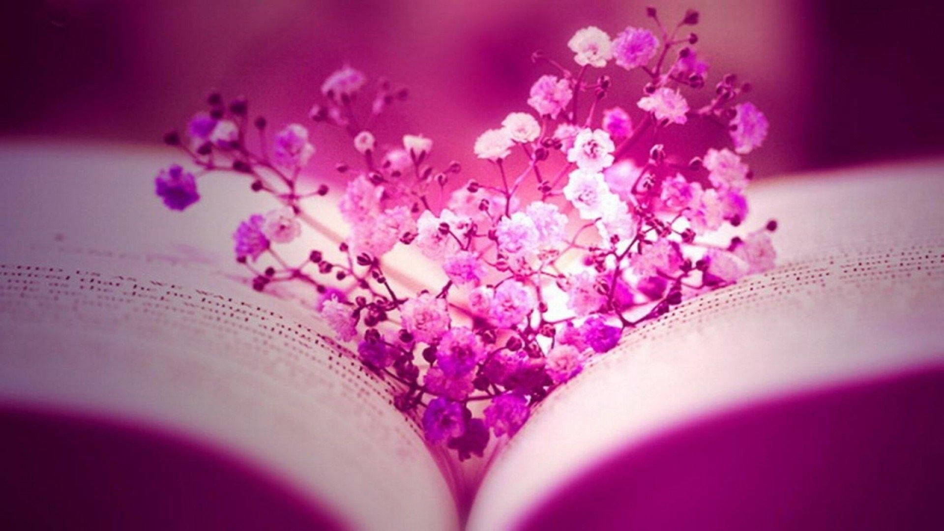 1920x1080 HD Flower, pink and white baby's breath flowers, opened book, Full HD Desktop Wallpaper
