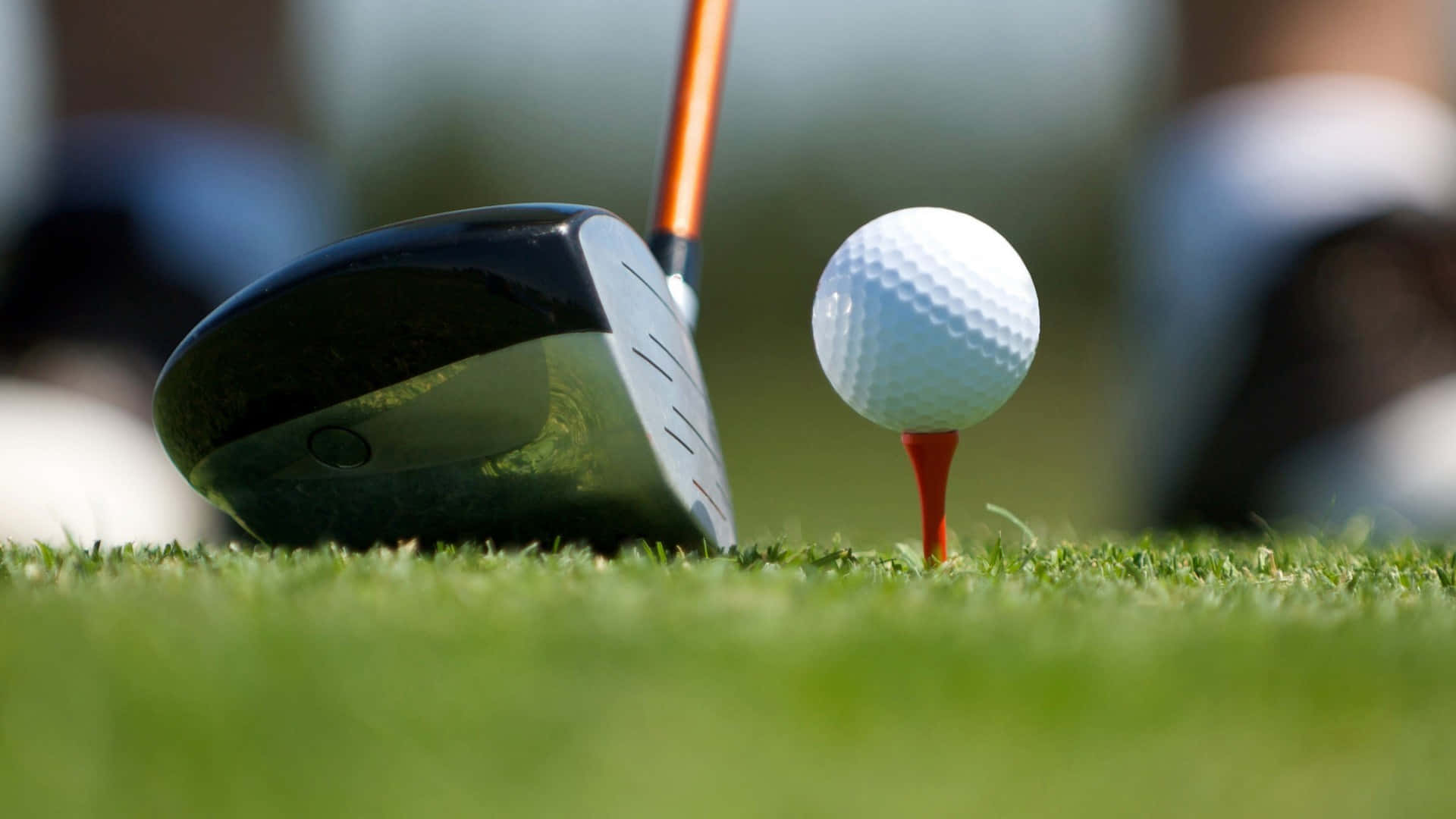 1920x1080 HD Golf, golf club head, vibrant green grass, Full HD Desktop Wallpaper