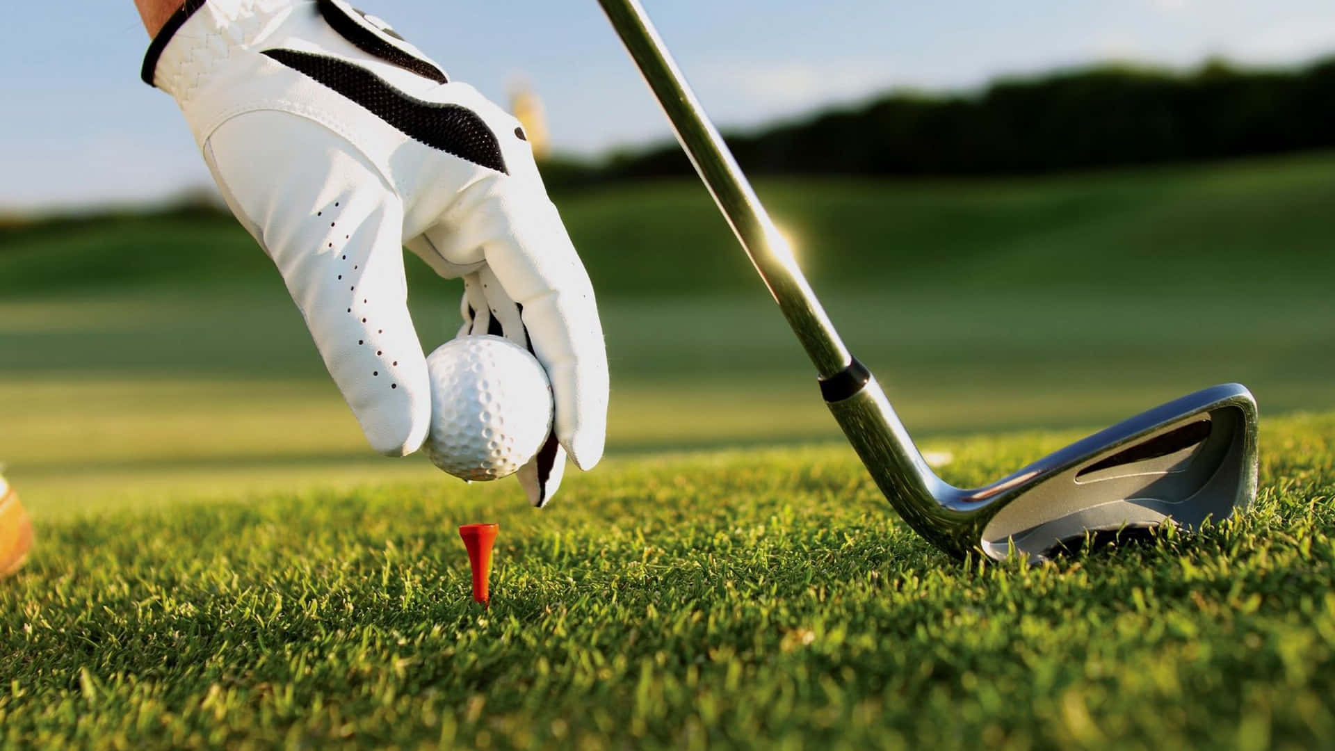 golfer, gloved hand, golf ball, Full HD Desktop Wallpaper