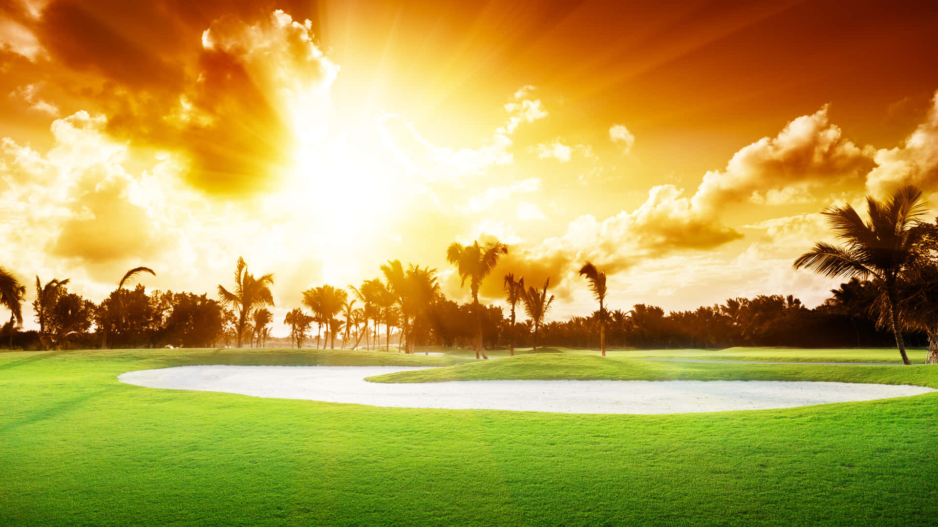 golden sunset light, palm trees, sand bunker, Full HD Desktop Wallpaper