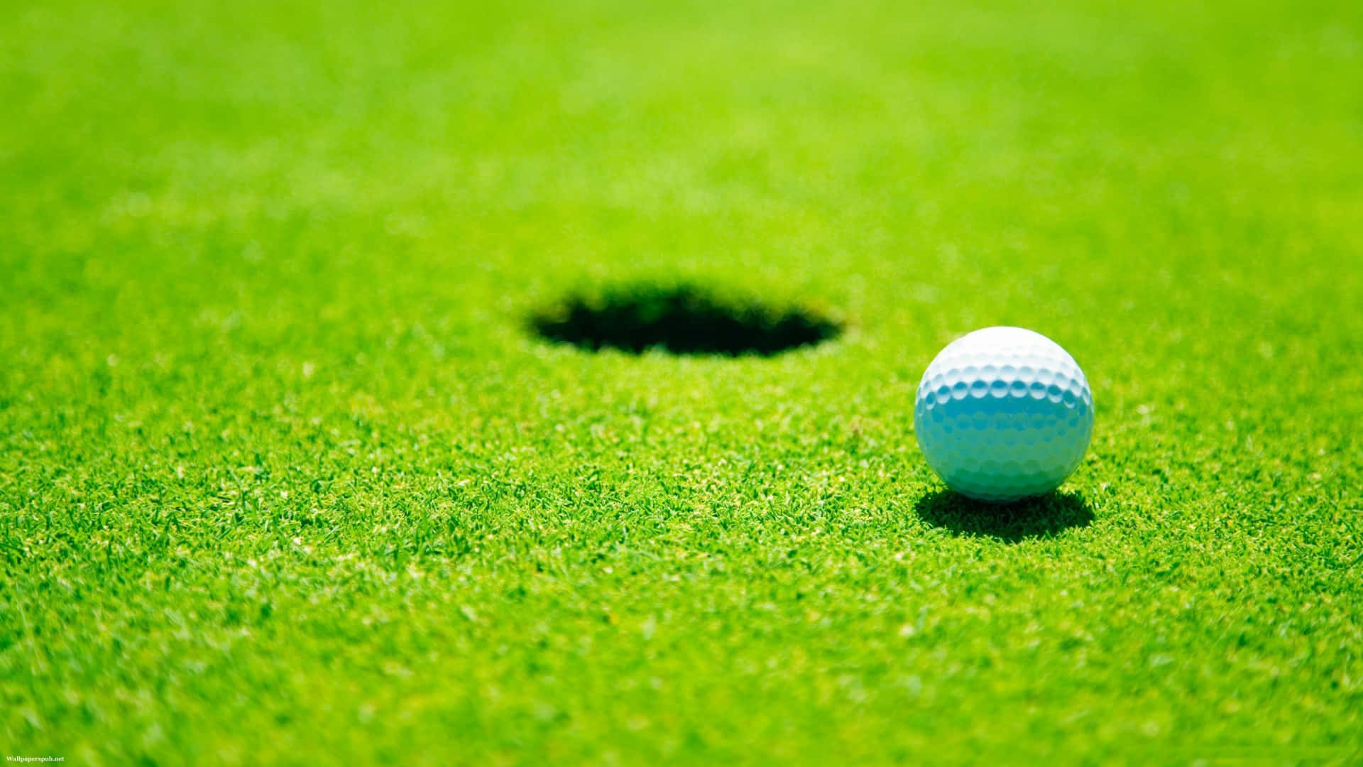 1920x1080 HD Golf, white golf ball, vibrant green grass, Full HD Desktop Wallpaper