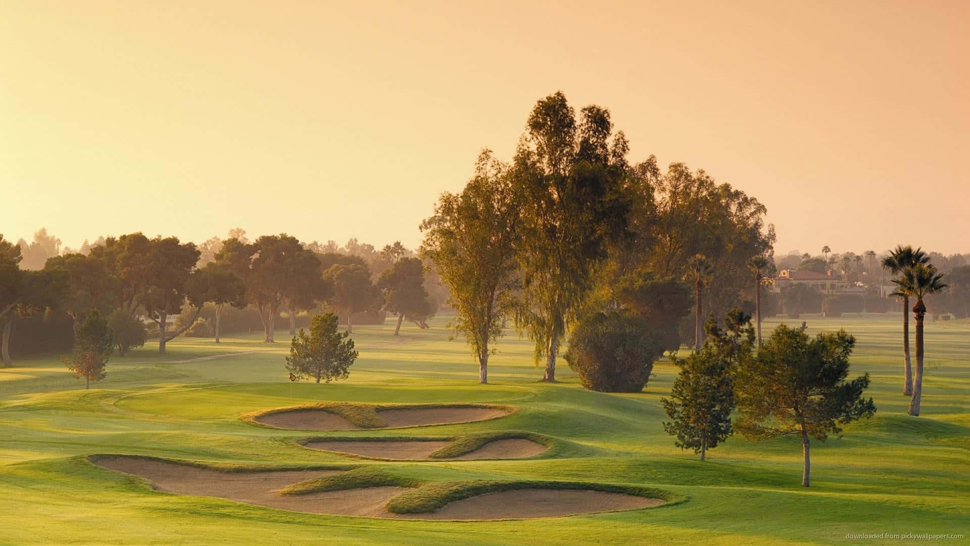 Golden sunrise, serene golf course, warm light, Full HD Desktop Wallpaper