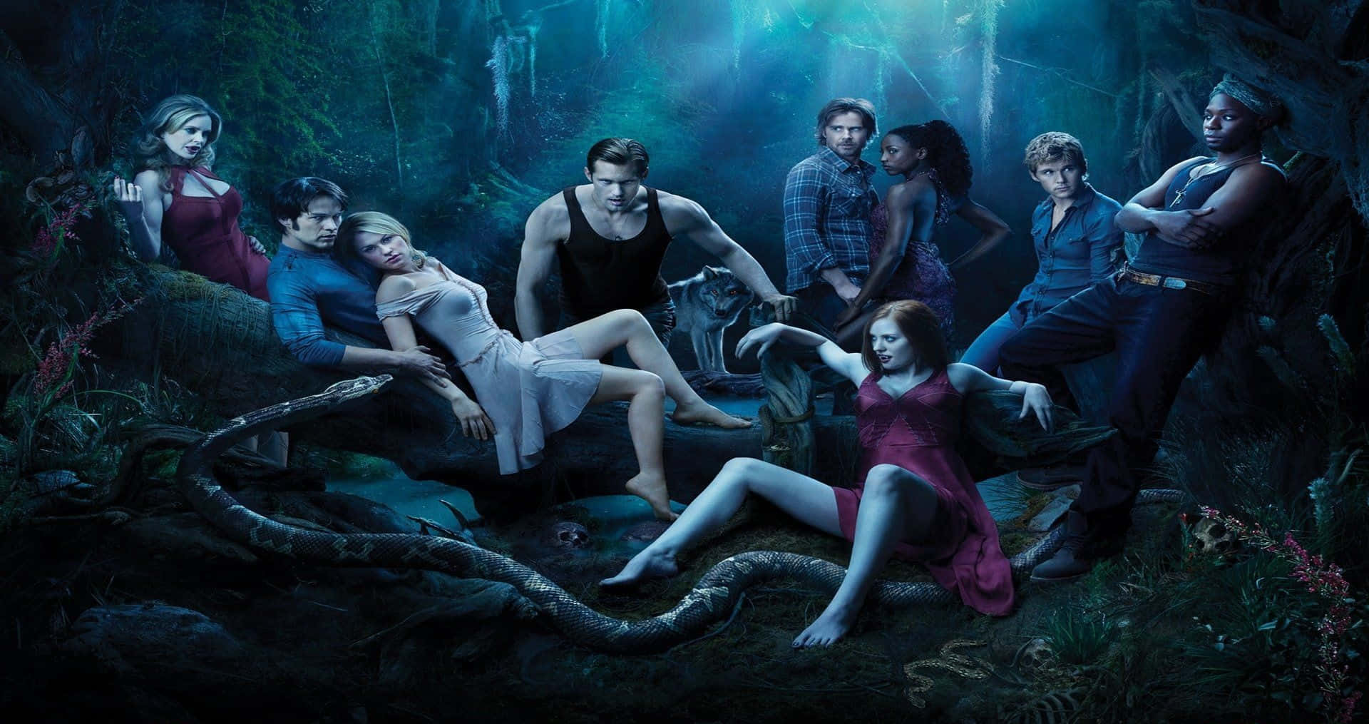 1920x1080 HD Movie, dark mystical forest, glowing blue light, Full HD Desktop Wallpaper