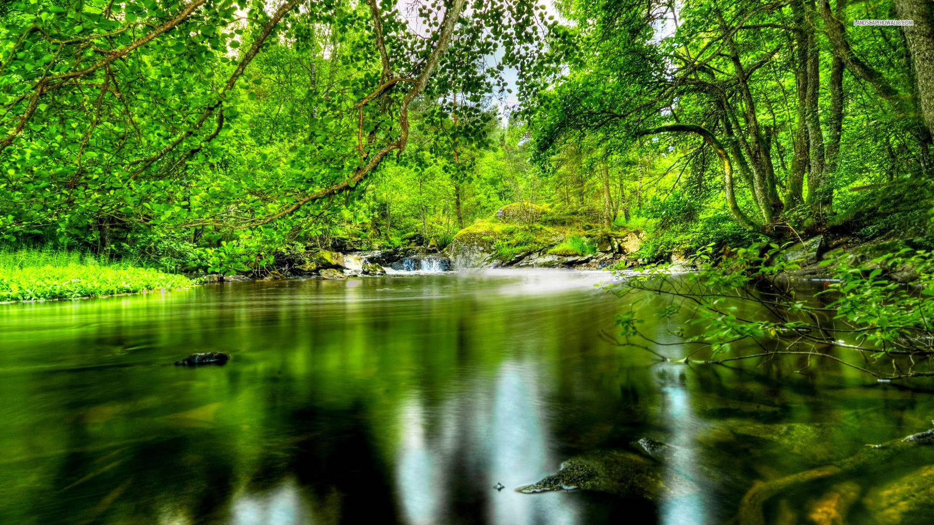 1920x1080 HD Nature, forest, river, Full HD Desktop Wallpaper