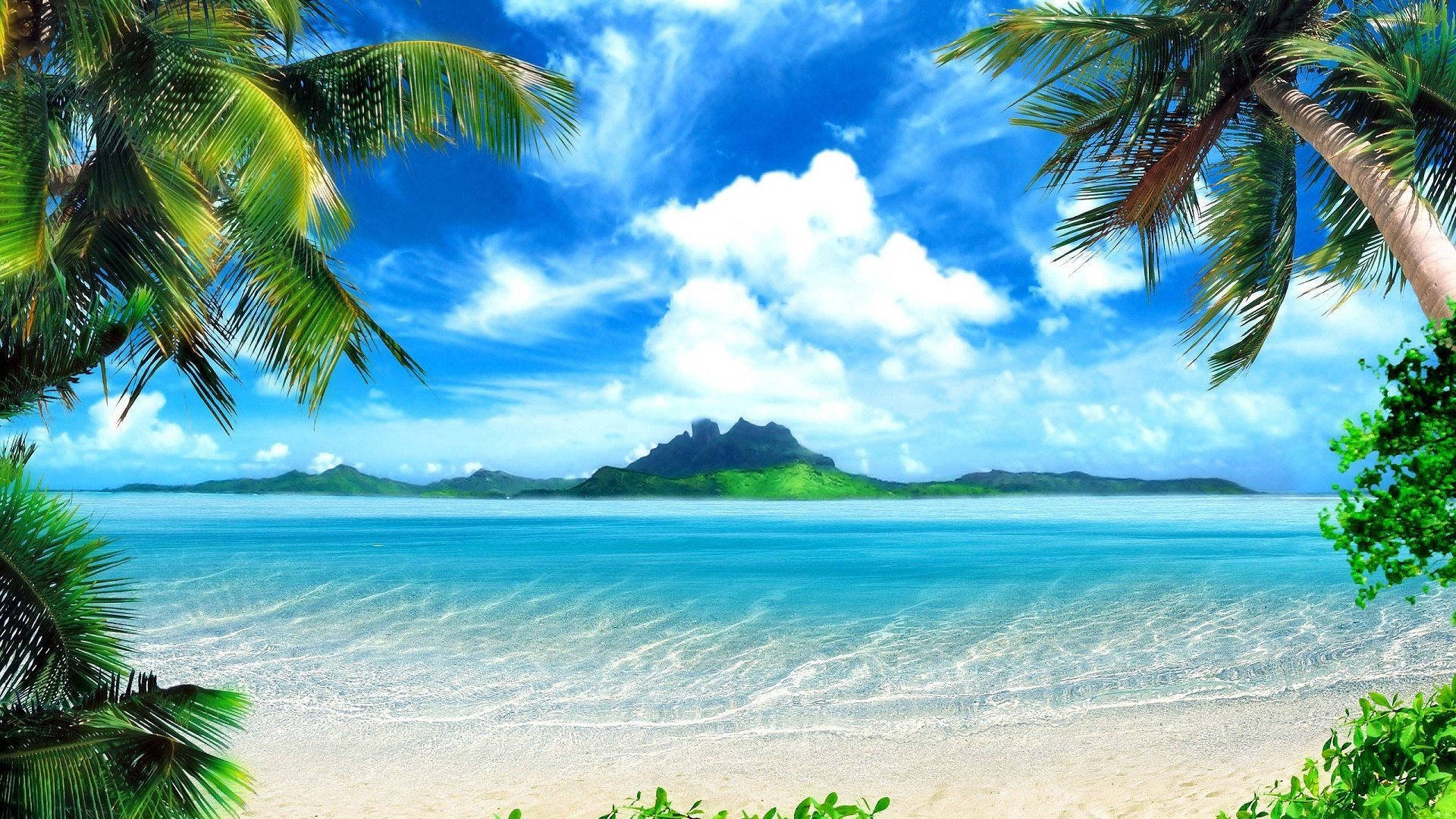 1920x1080 HD Nature, tropical beach, palm fronds, Full HD Desktop Wallpaper