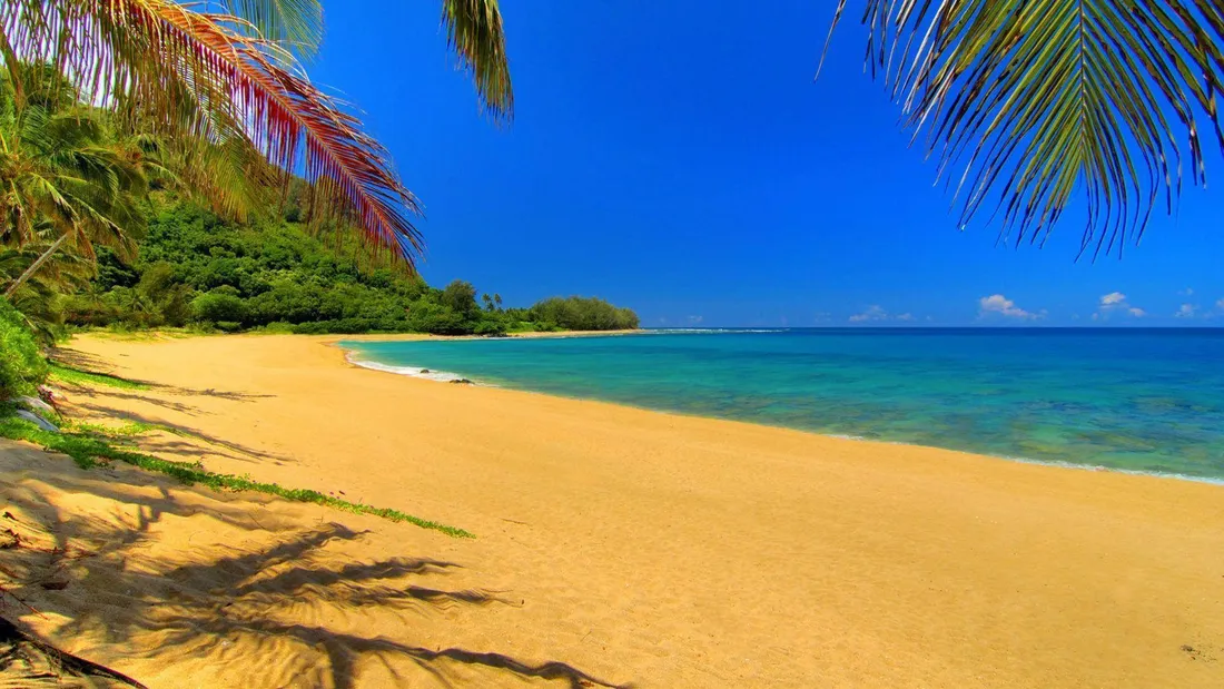1920x1080 HD Summer